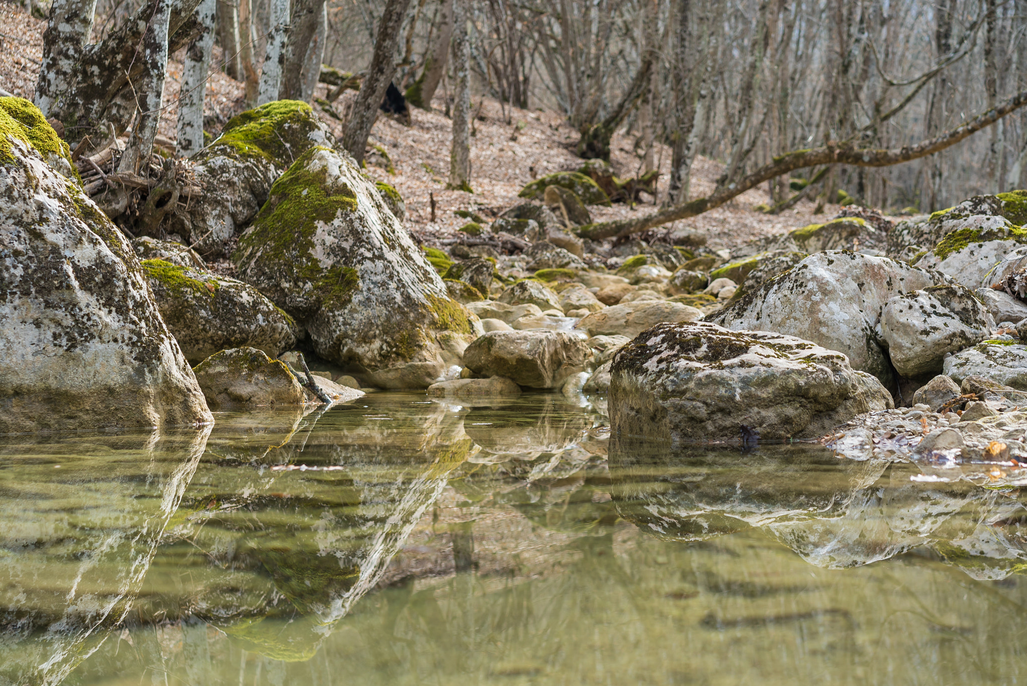 Sony a7S II + Sony Sonnar T* FE 55mm F1.8 ZA sample photo. Mountain river reflections photography