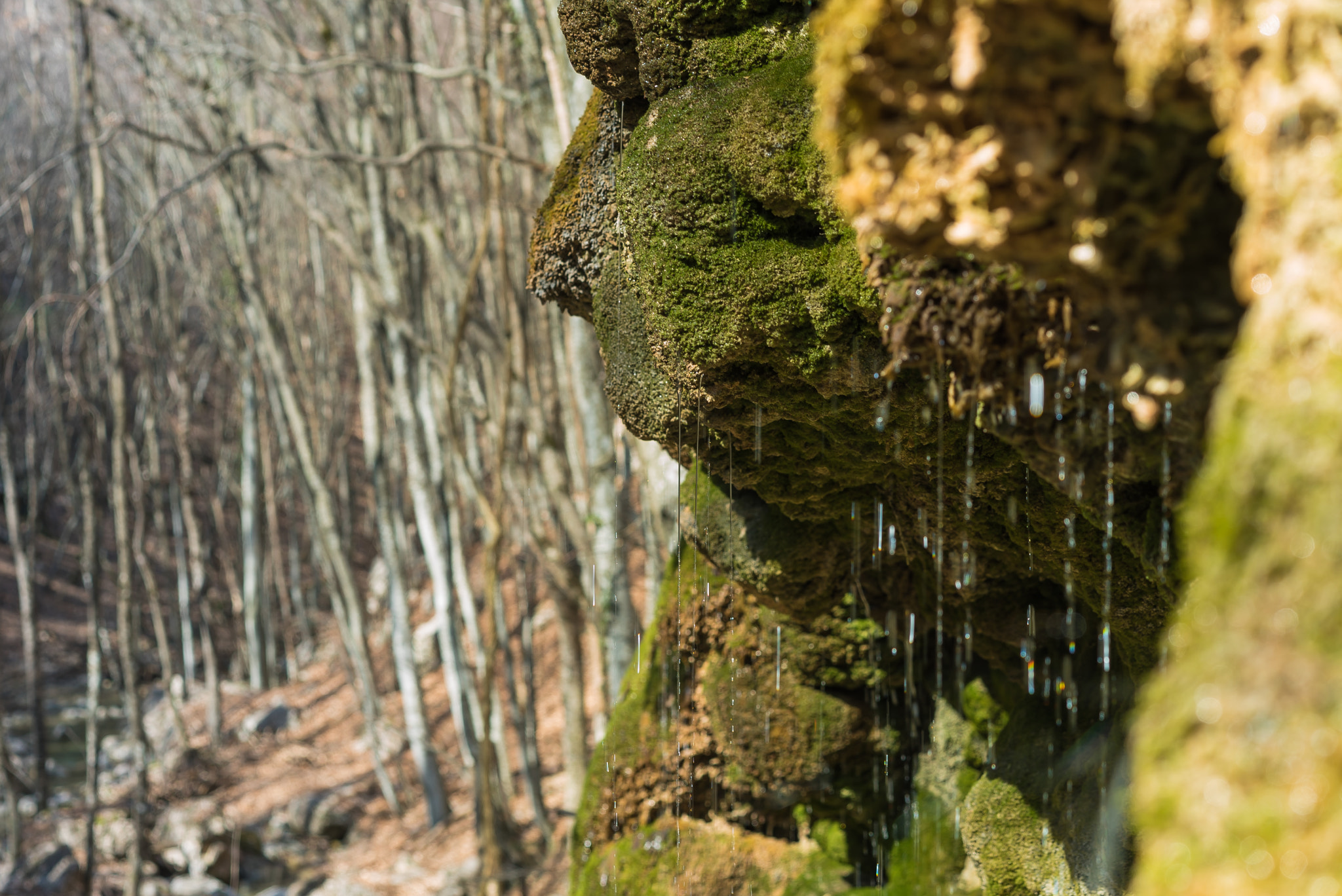 Sony a7S II + Sony Sonnar T* FE 55mm F1.8 ZA sample photo. Spring falls down from mossy rocks photography