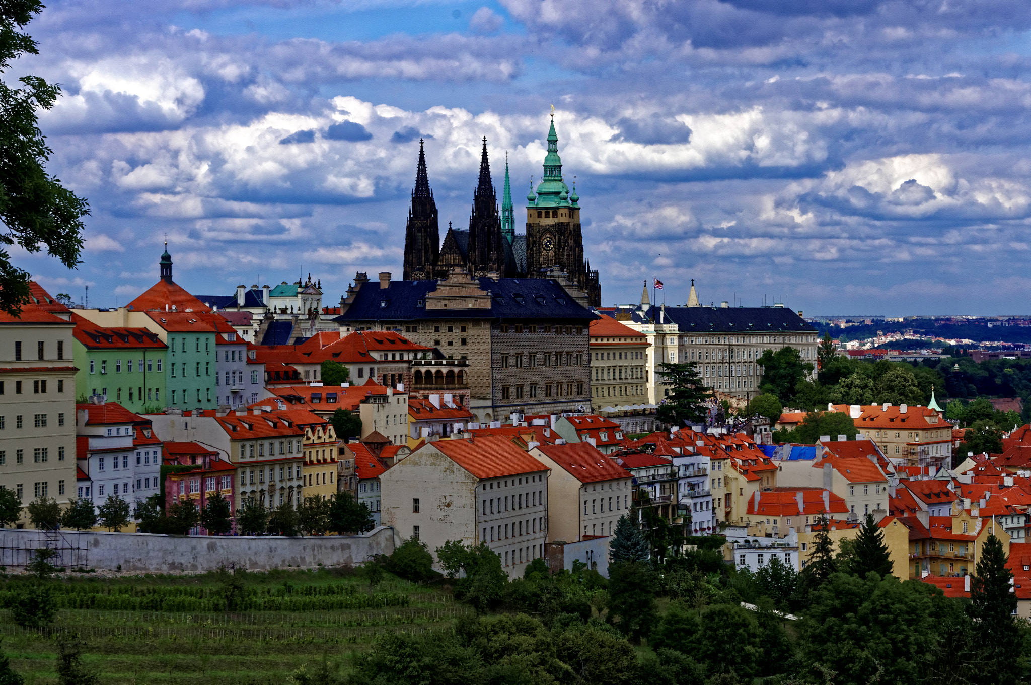 Pentax K-x sample photo. Vineyard in the middle of prague photography