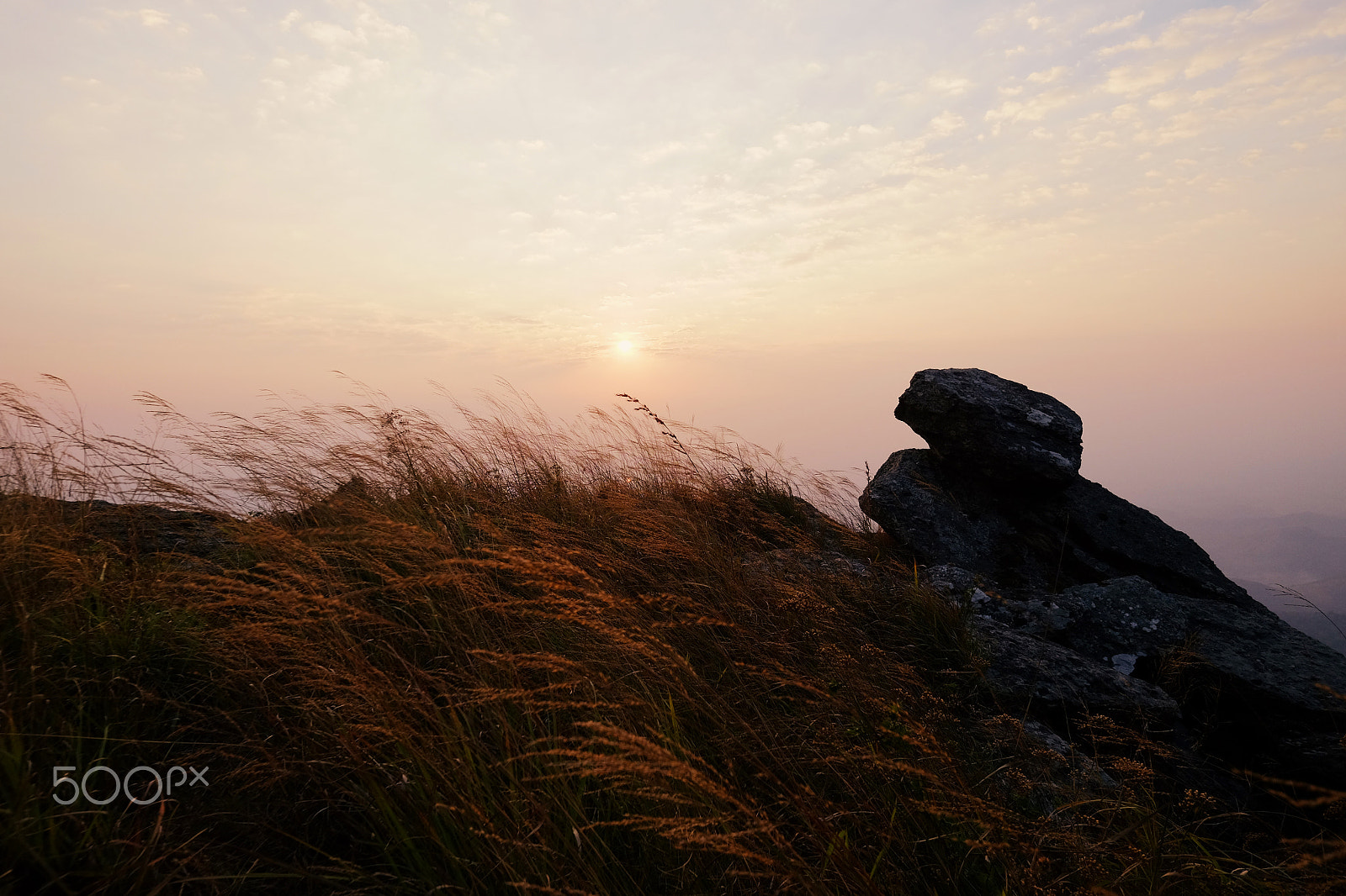 ZEISS Touit 12mm F2.8 sample photo. Morning sun photography