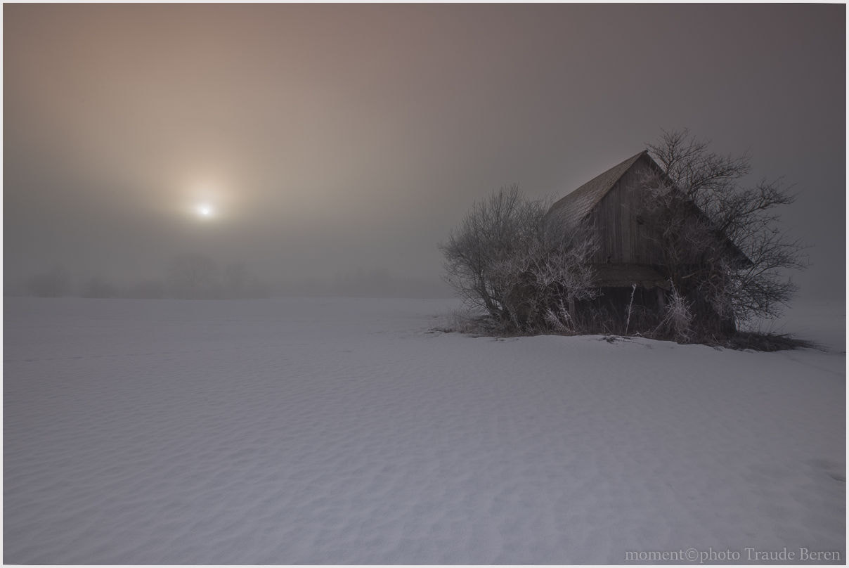 Canon EOS 5D Mark IV + Canon EF 16-35mm F2.8L III USM sample photo. Die sonne kämpft sich durch den nebel photography