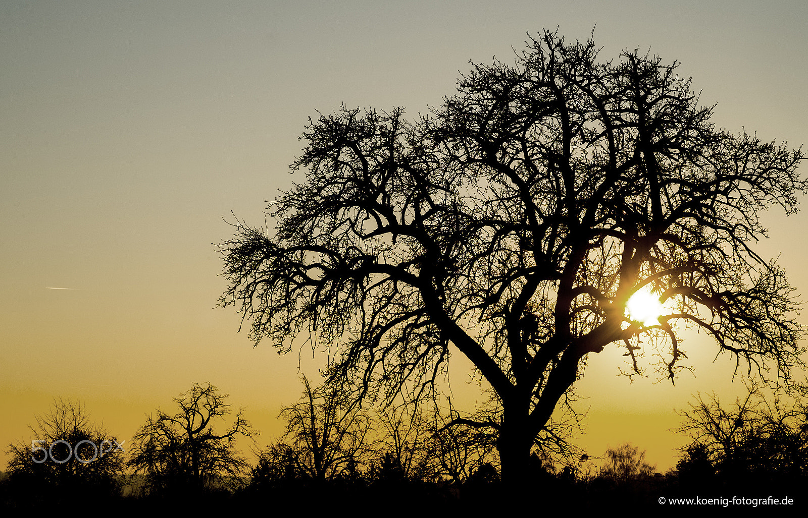 Fujifilm X-Pro1 + Fujifilm XF 60mm F2.4 R Macro sample photo. Sunset photography