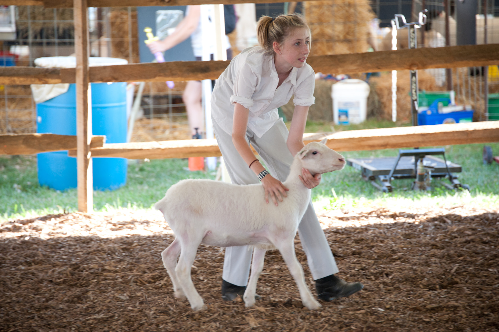 Nikon D700 sample photo. Young girl showing lamb at state fair photography