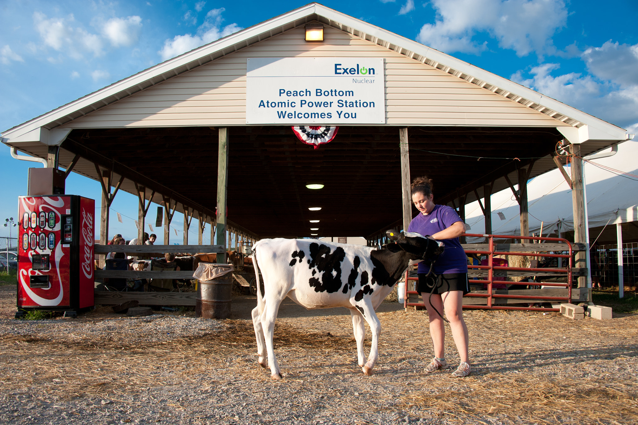 Nikon D700 sample photo. Young girl tending to dairy calf at the mason dixon fair photography