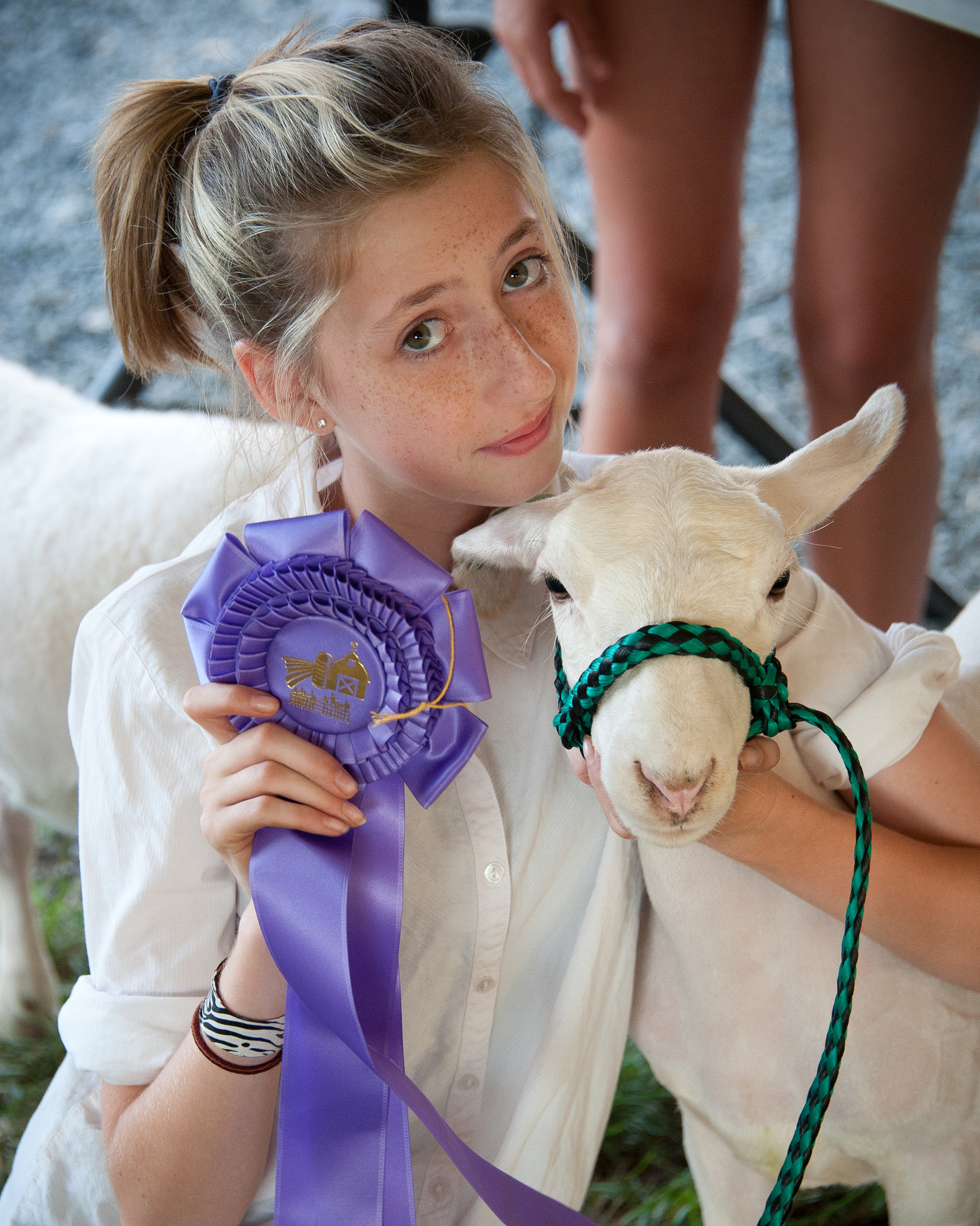 Nikon D700 sample photo. Girl with ribbon winning lamb at the mason dixon fair photography