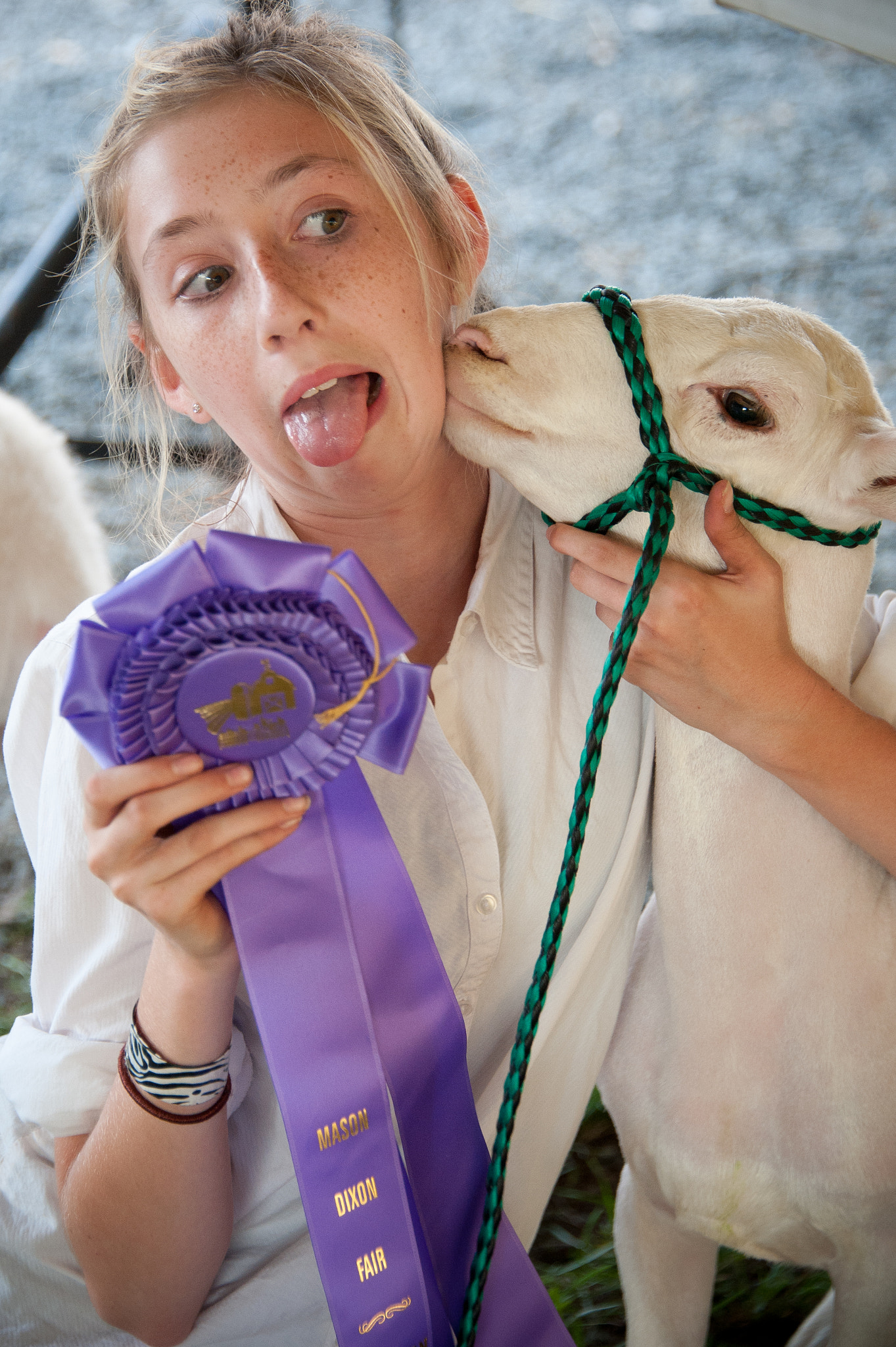 Nikon D700 sample photo. Girl with ribbon winning lamb at the mason dixon fair photography