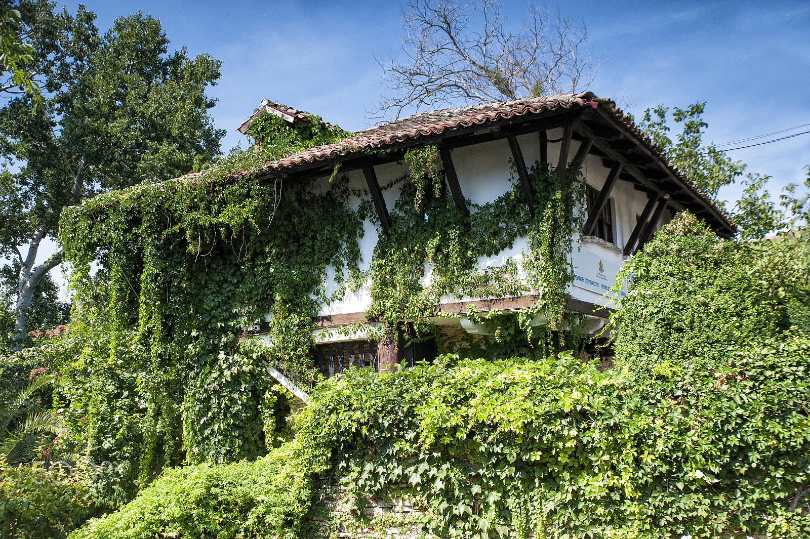 Tamron SP 24-70mm F2.8 Di VC USD sample photo. Rustic house with creepers photography