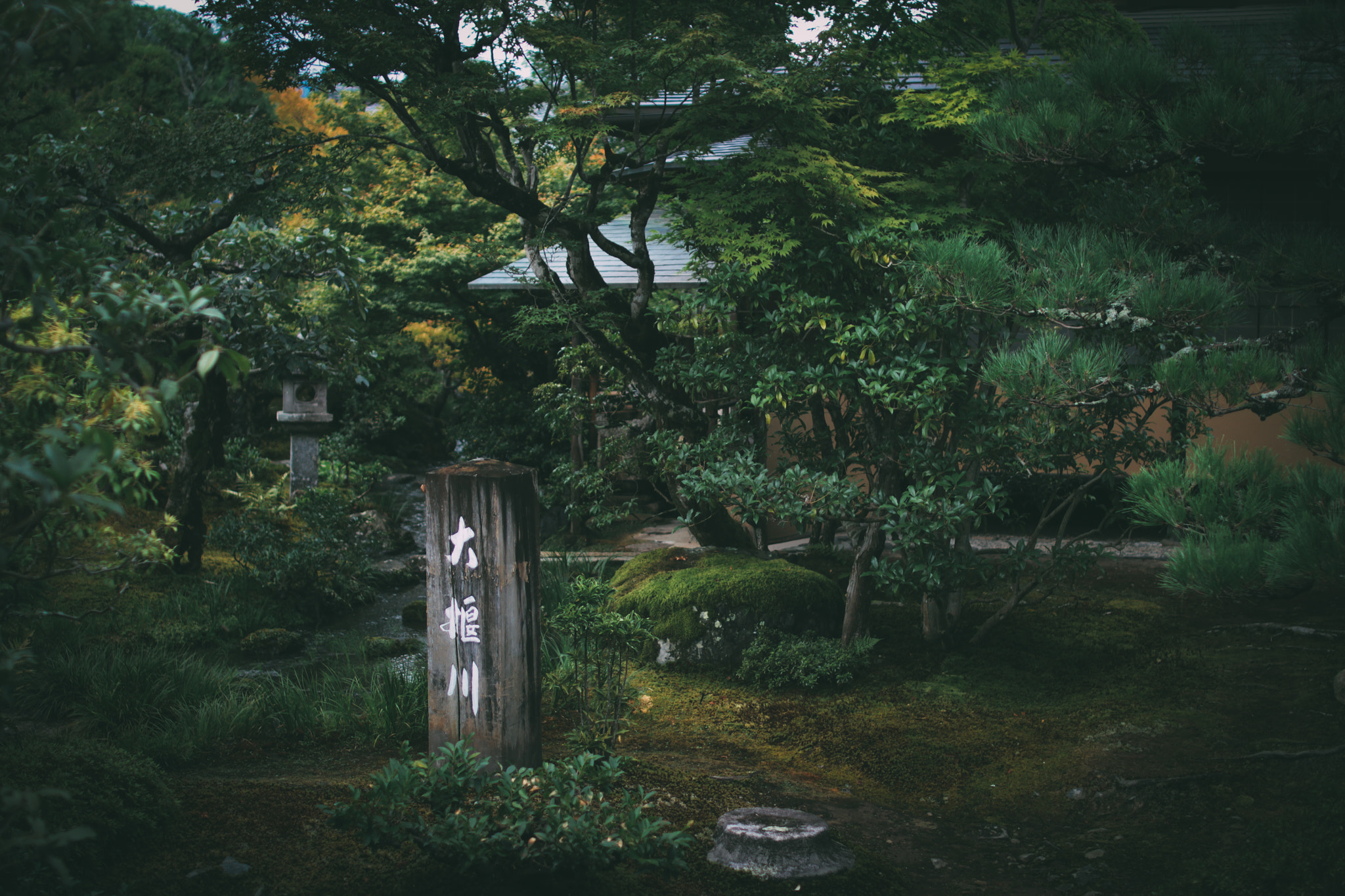 Sigma 30mm F1.4 EX DC HSM sample photo. Japanese garden photography