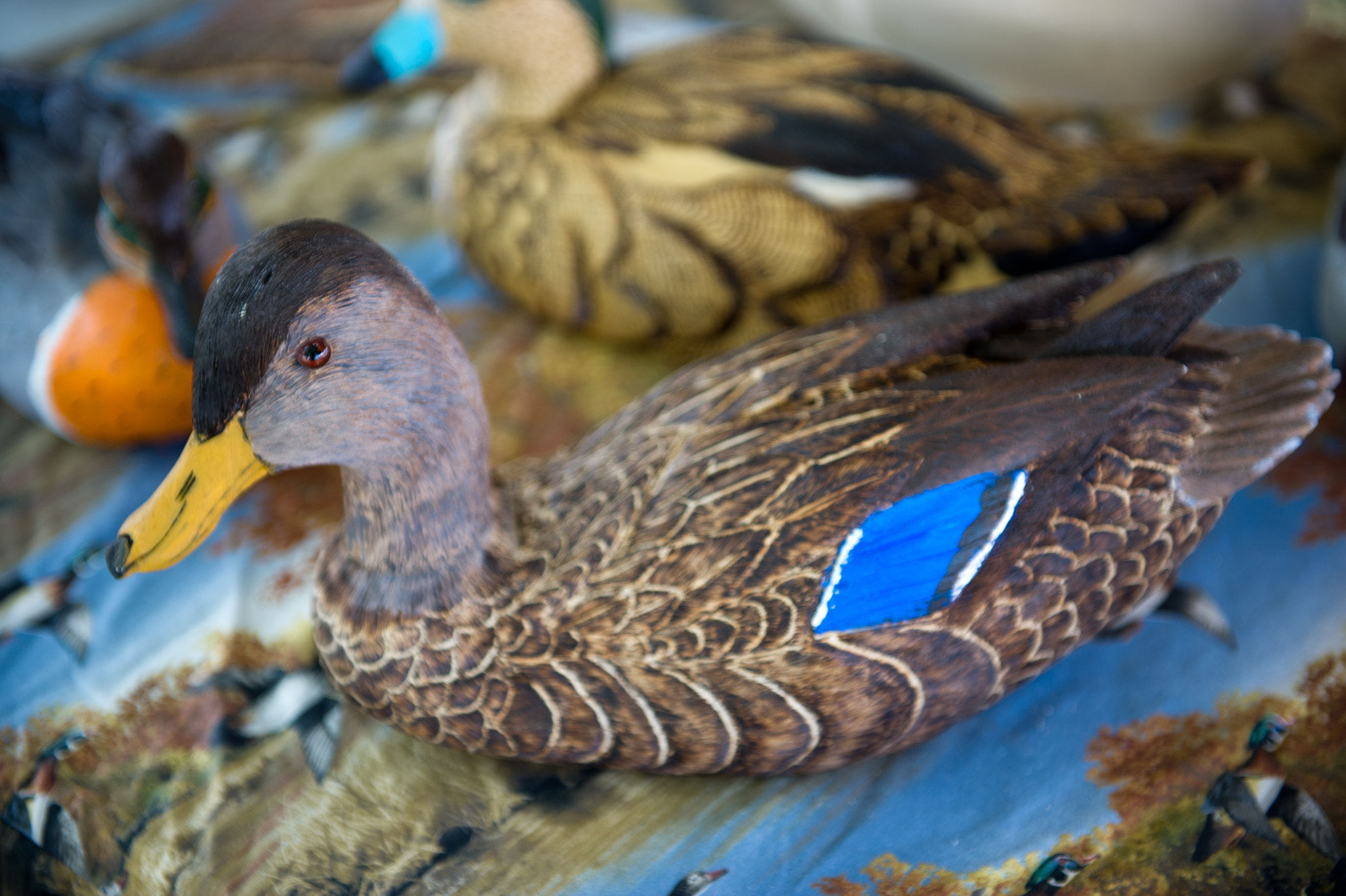 Nikon D3S sample photo. Duck decoy on display at the chesapeake bay maritime museum in st. michaels md photography