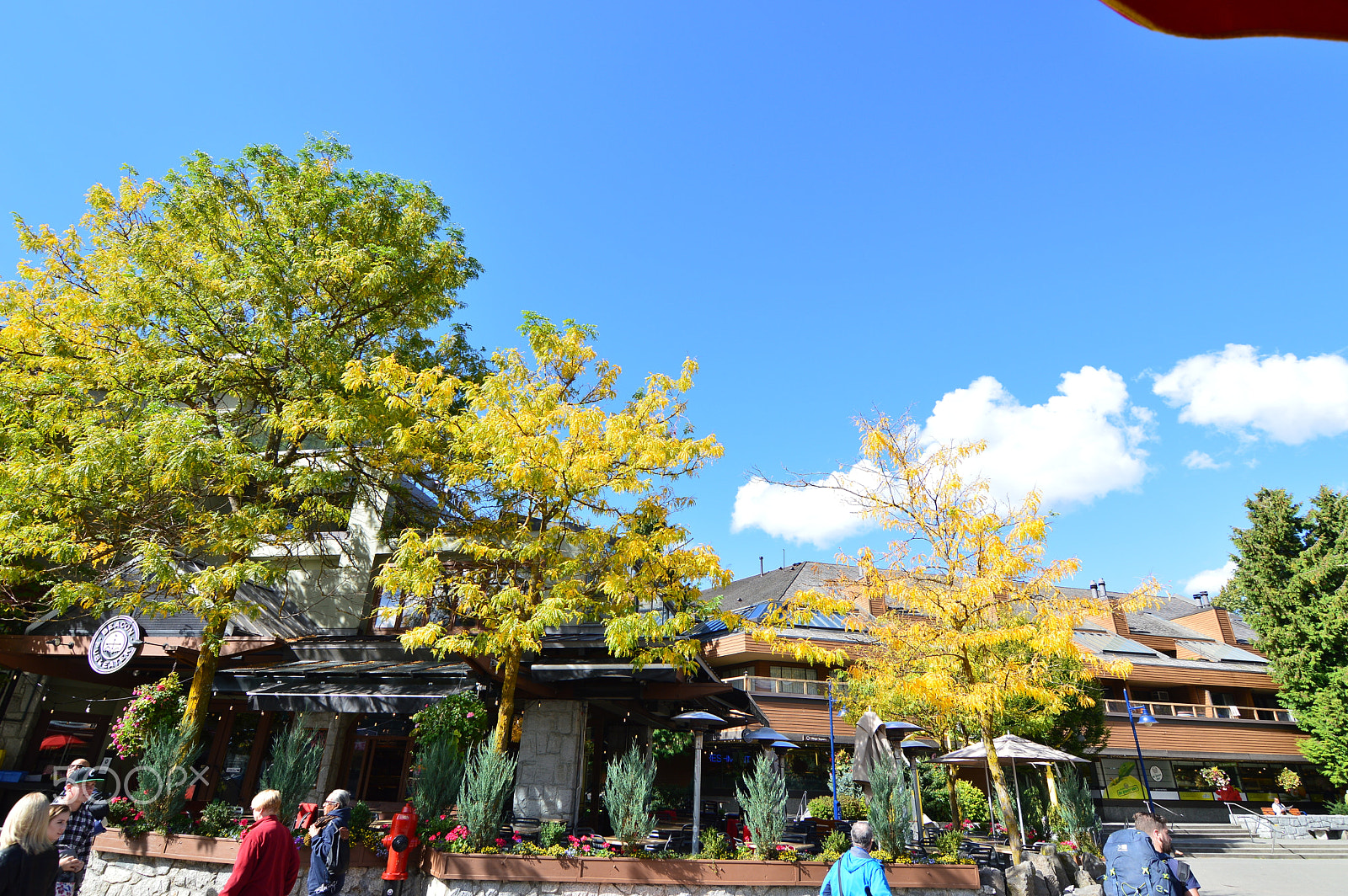 Nikon D3200 sample photo. Whistler photography