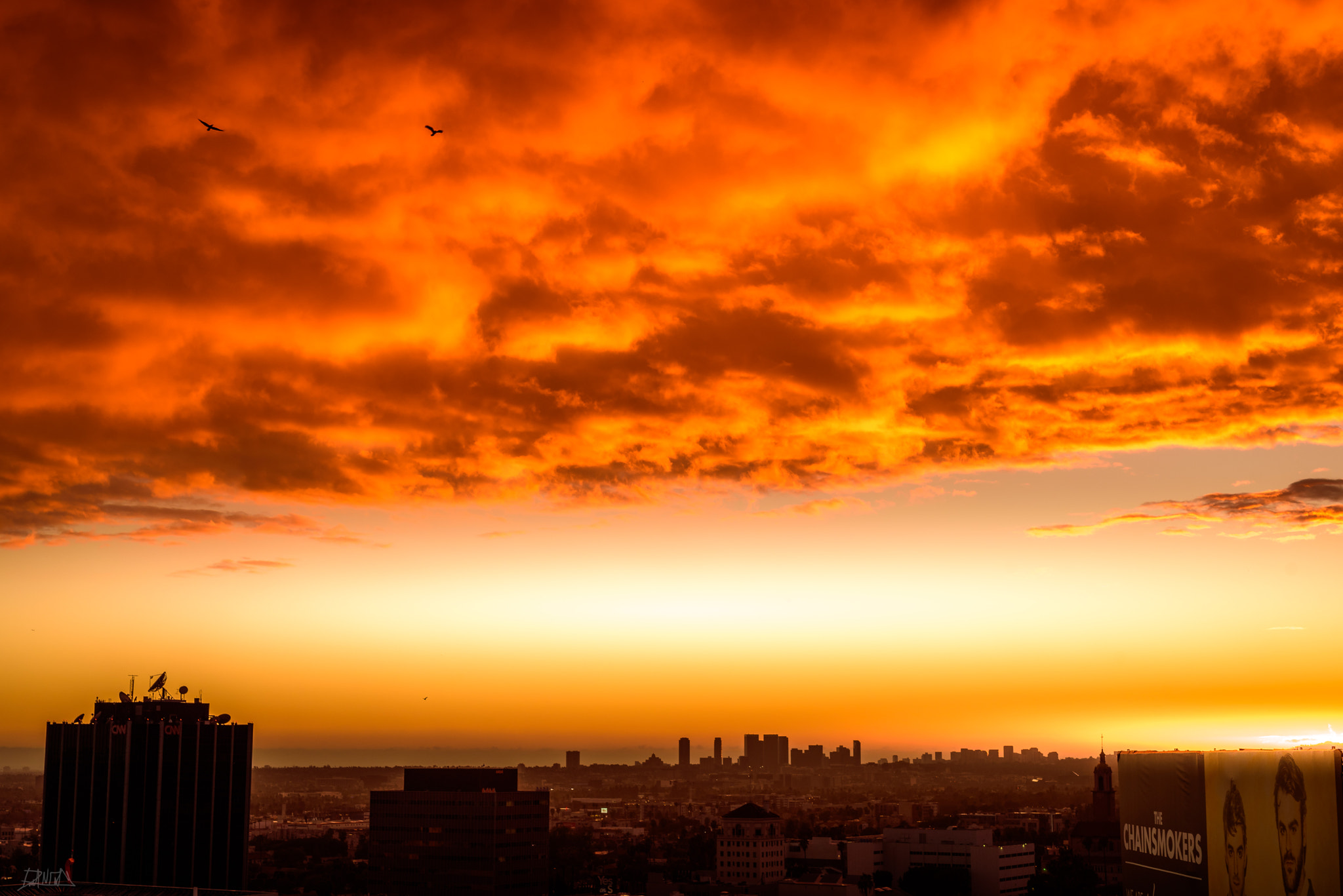 Sigma 50mm F1.4 DG HSM Art sample photo. Sky afire los angeles photography