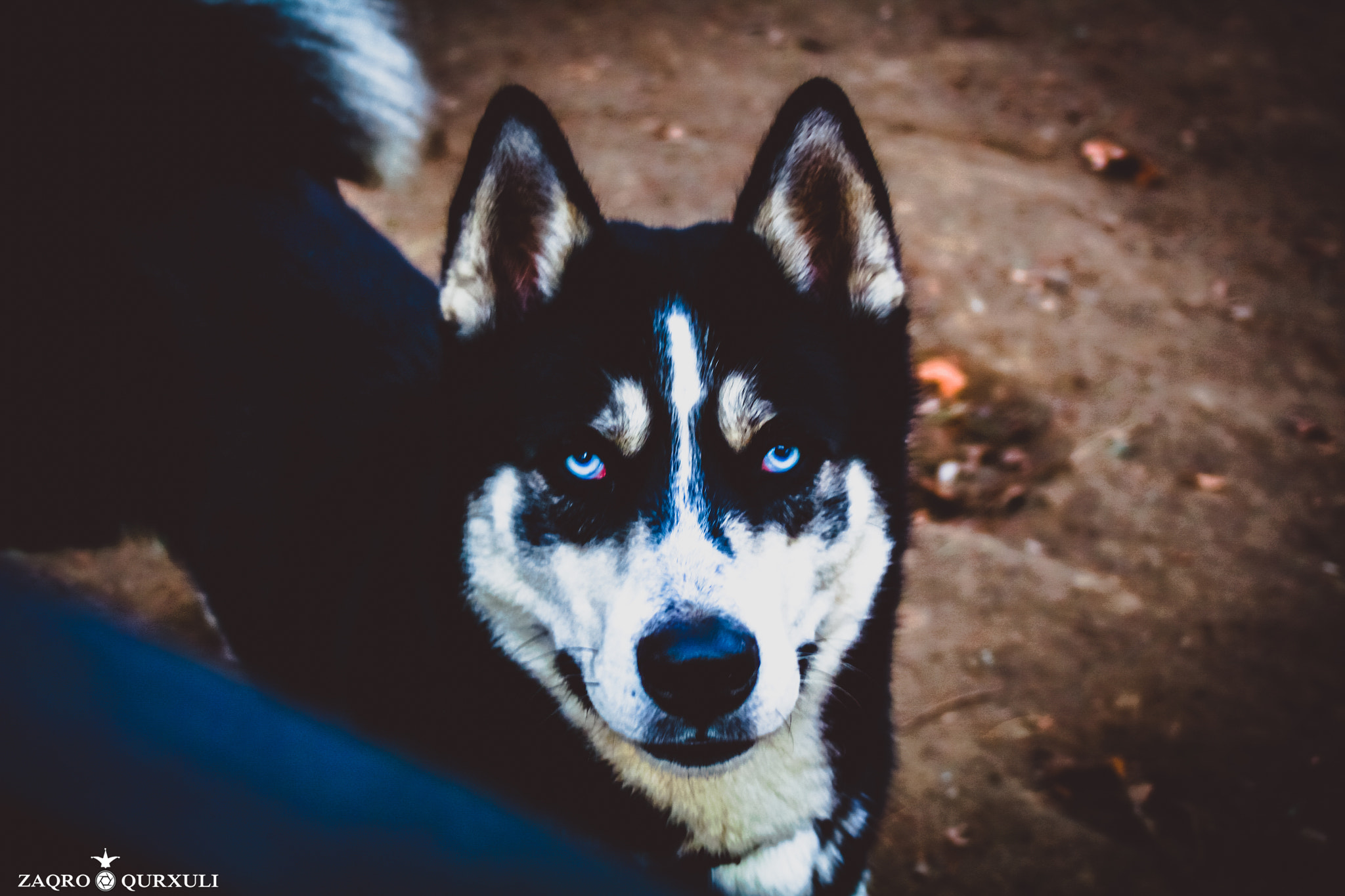 Canon EF 28-80mm f/3.5-5.6 sample photo