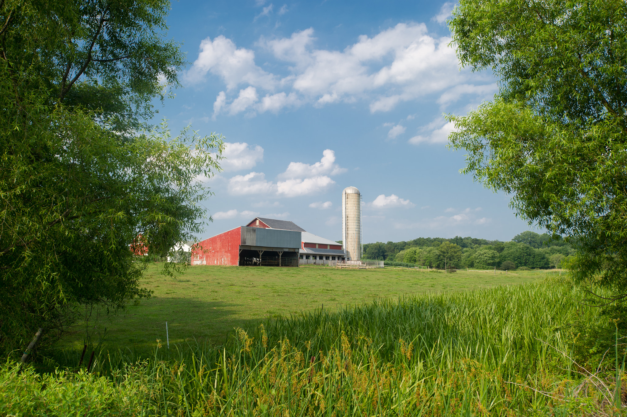 Nikon AF-S Nikkor 17-35mm F2.8D ED-IF sample photo. Farm on the mason dixon line in cecil county photography