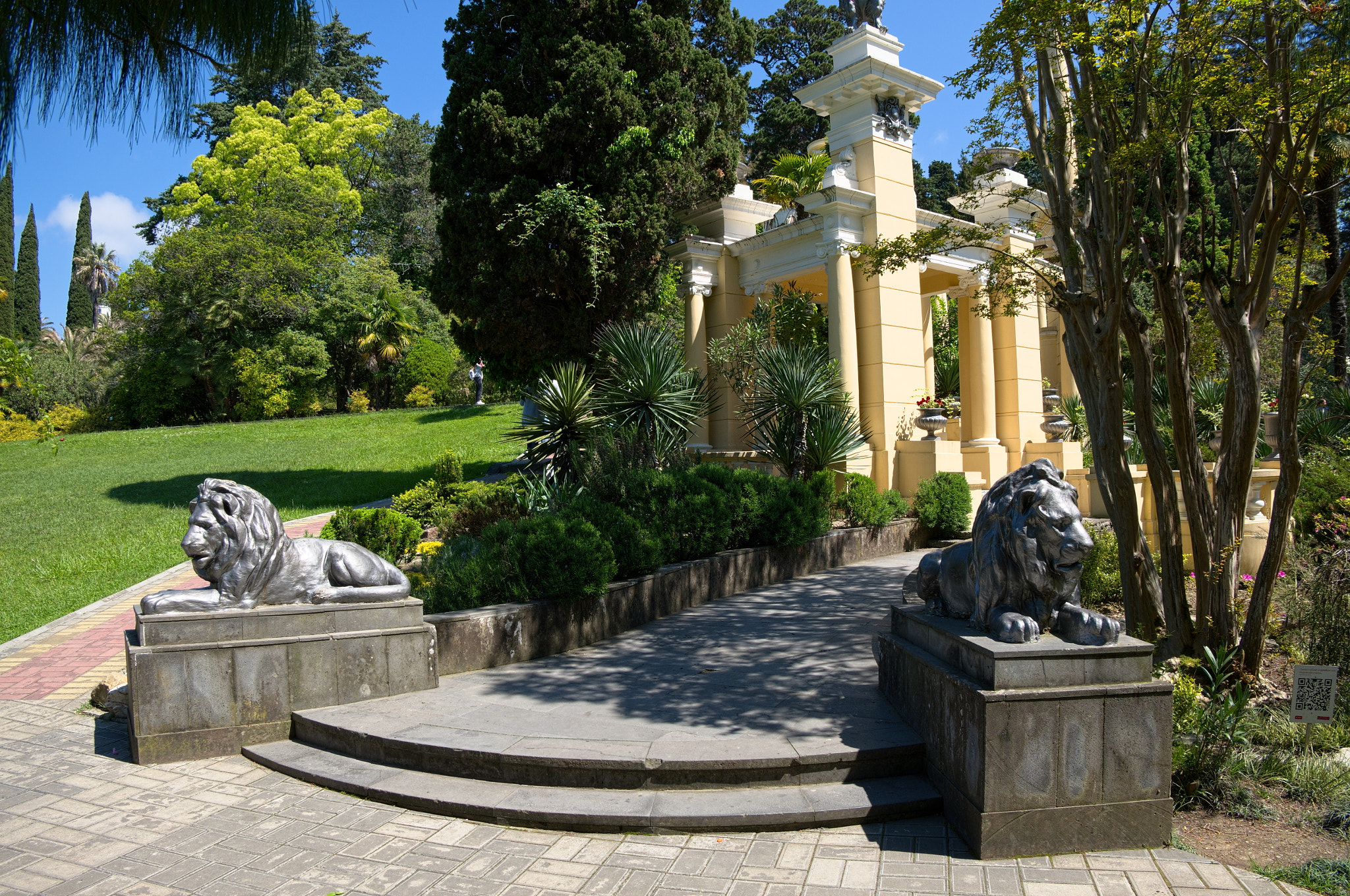 Fujifilm XC 16-50mm F3.5-5.6 OIS sample photo. Sochi arboretum photography