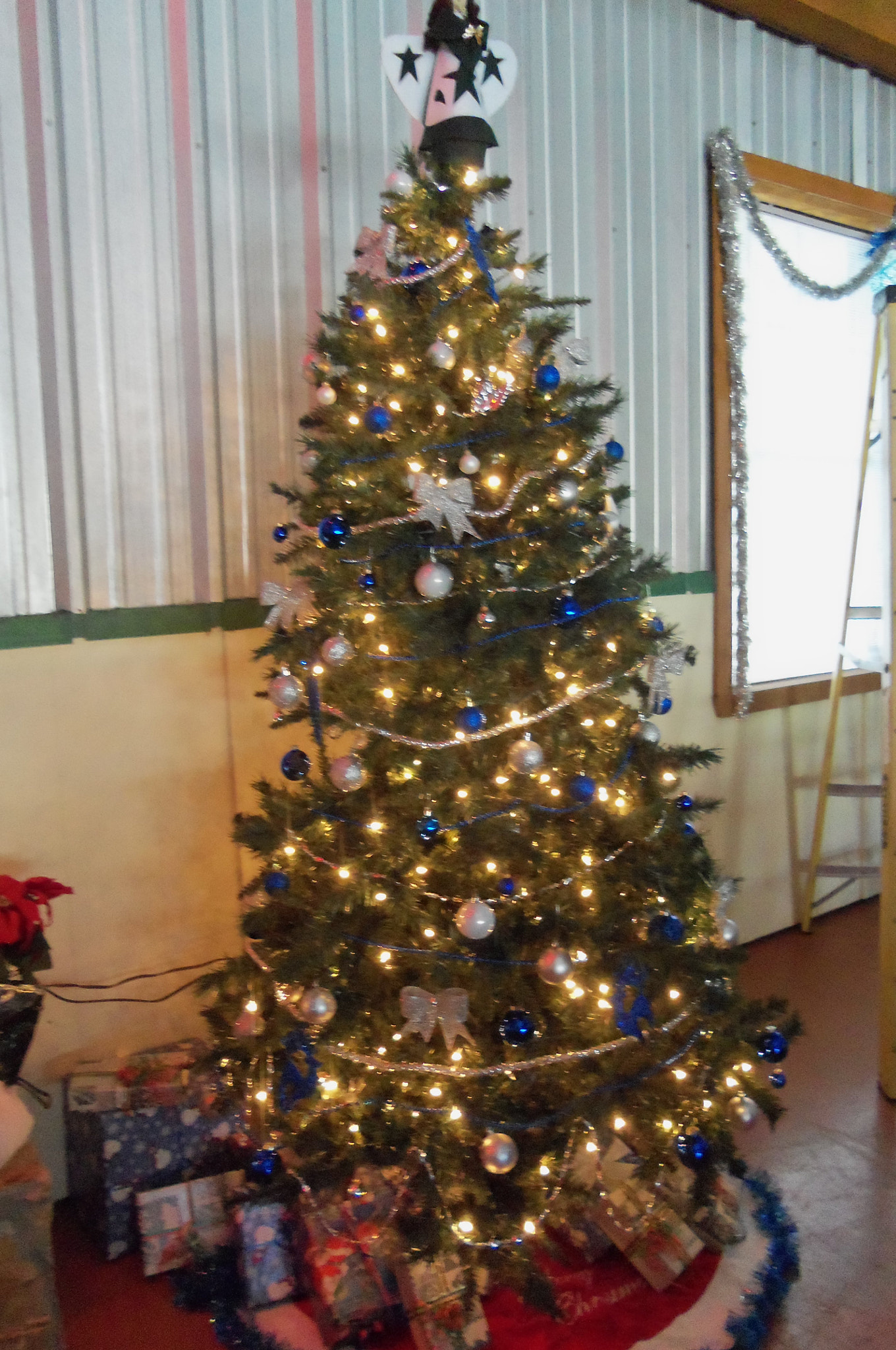 Kodak EASYSHARE CAMERA, M532 sample photo. Christmas tree photography