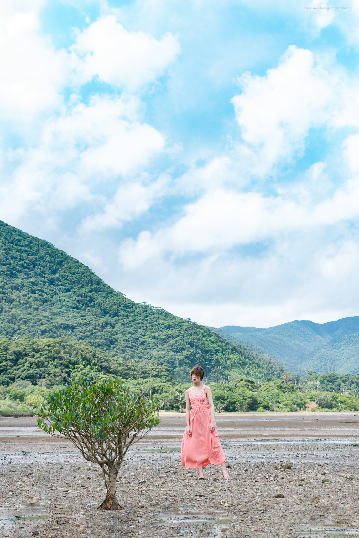 Nikon D800E sample photo. Mangrove forest photography