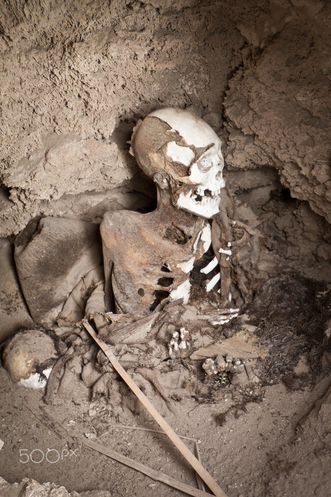 Canon EF 16-35mm F2.8L II USM sample photo. Human skeleton exposed in a burial mound photography