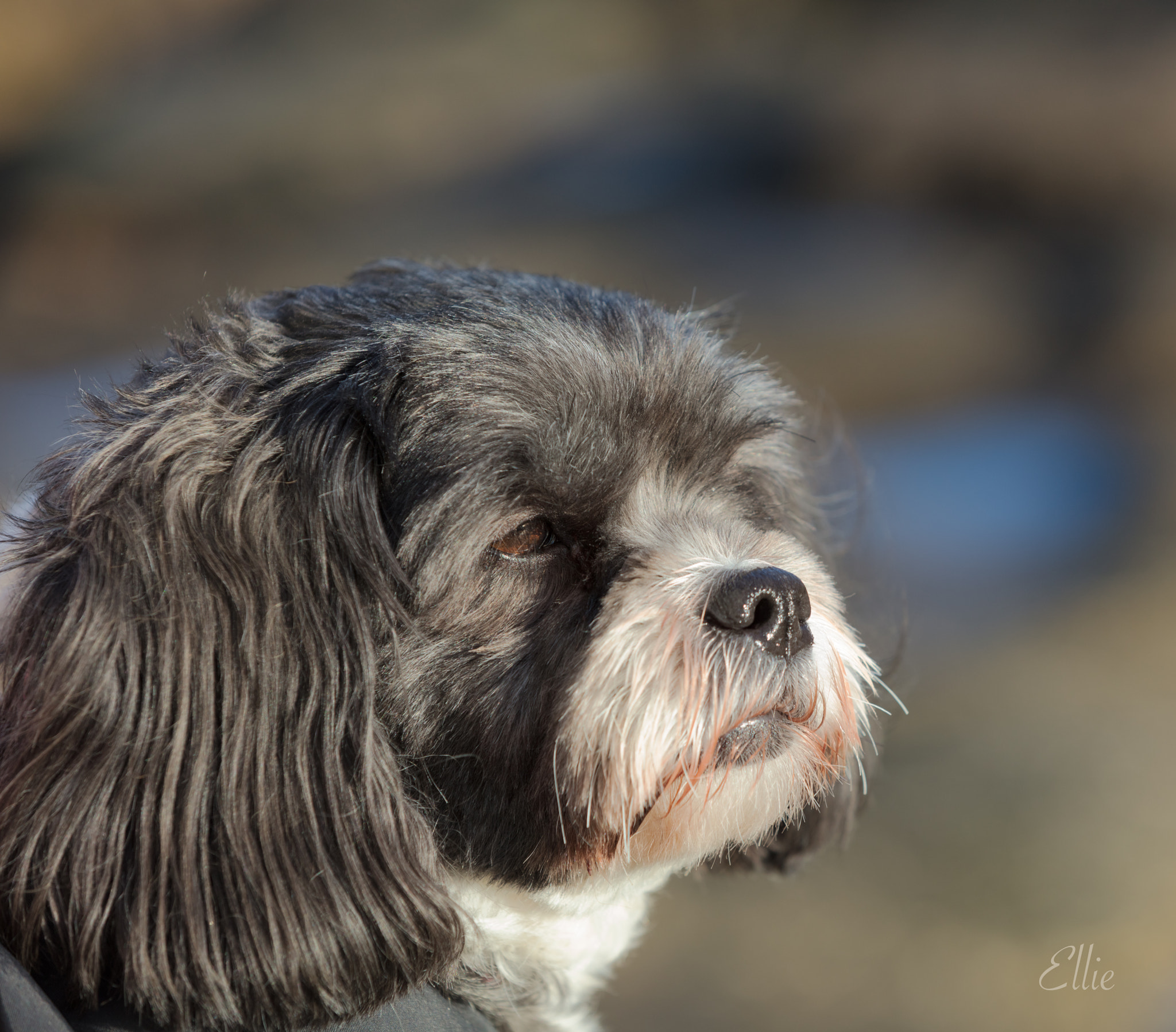 Canon EOS 5DS sample photo. Ellie photography