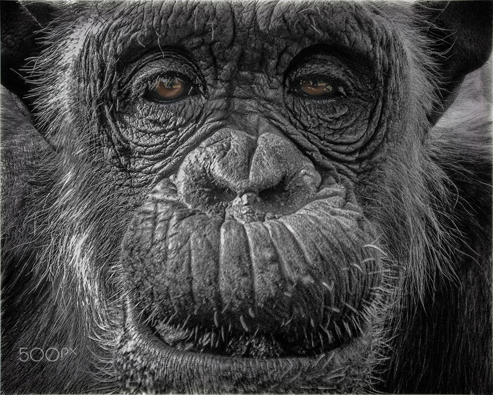 Nikon COOLPIX L14 sample photo. I've got a soul !!! photography