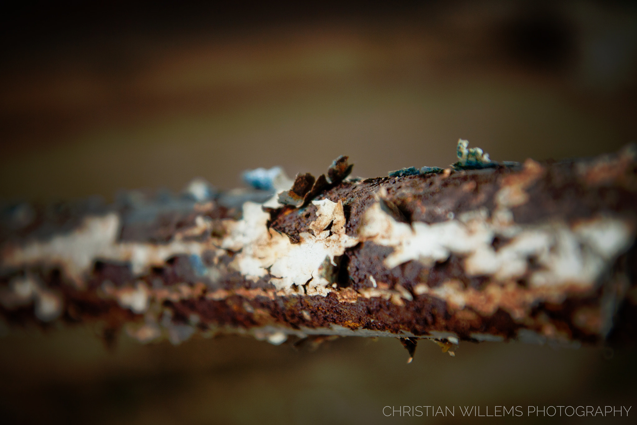 Canon EF-S 17-55mm F2.8 IS USM sample photo. Rust photography
