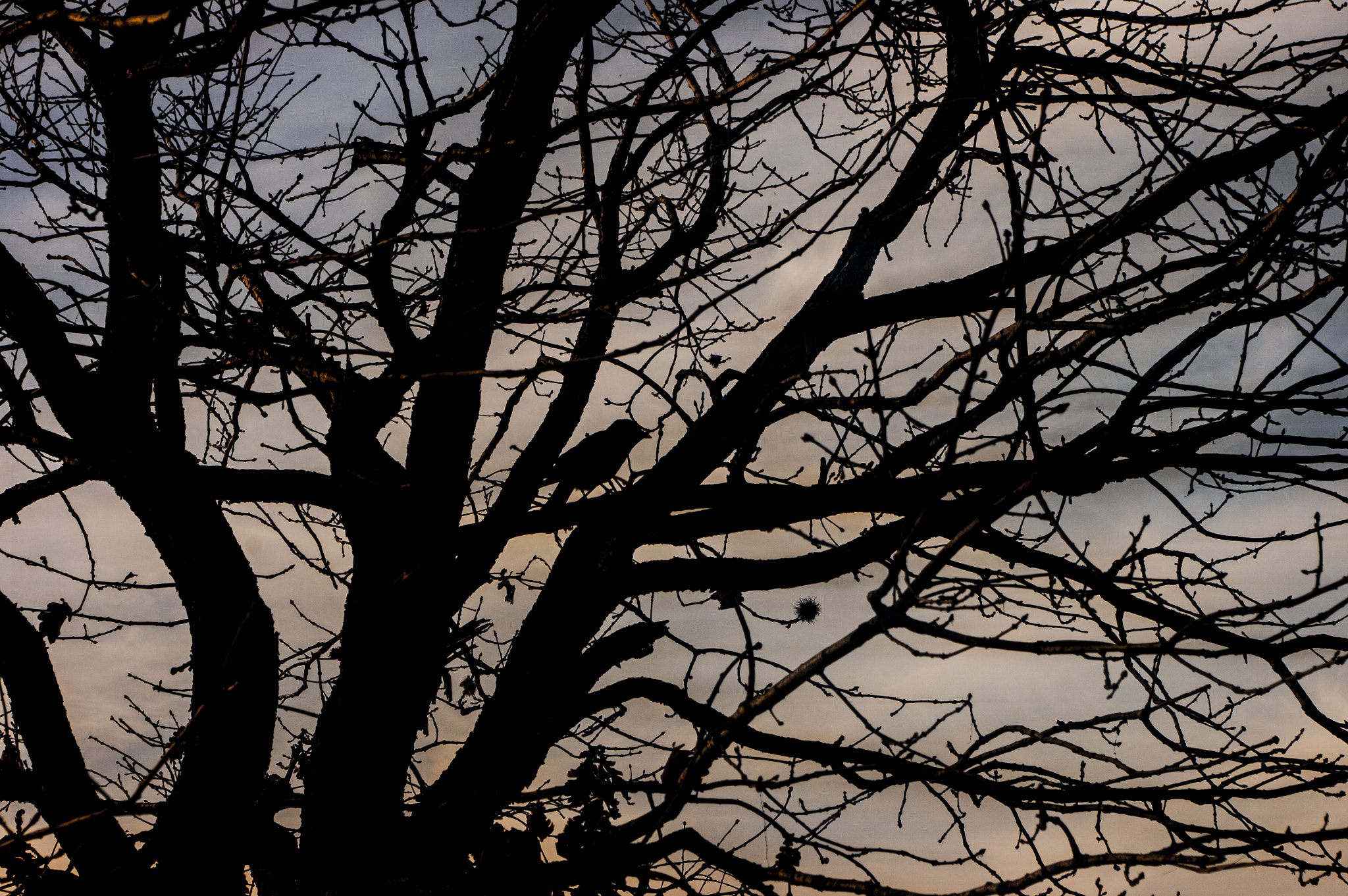 smc PENTAX-DA L 18-55mm F3.5-5.6 sample photo. Twilight photography