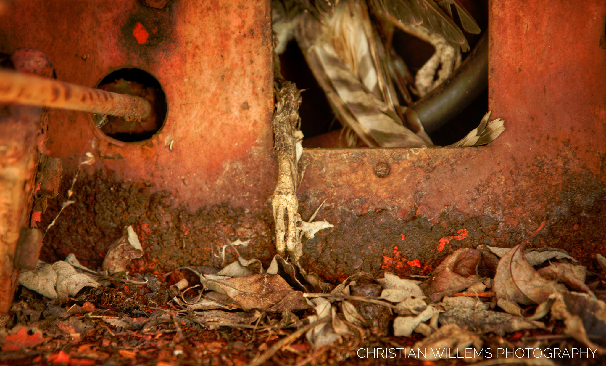Canon EF-S 17-55mm F2.8 IS USM sample photo. Nature morte photography