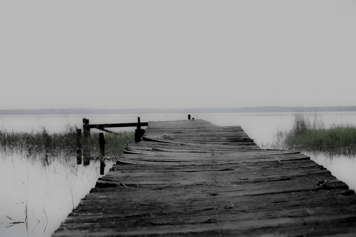Canon EF-S 55-250mm F4-5.6 IS sample photo. Into the gray, a cloudy day on lake louisa, 2017 photography