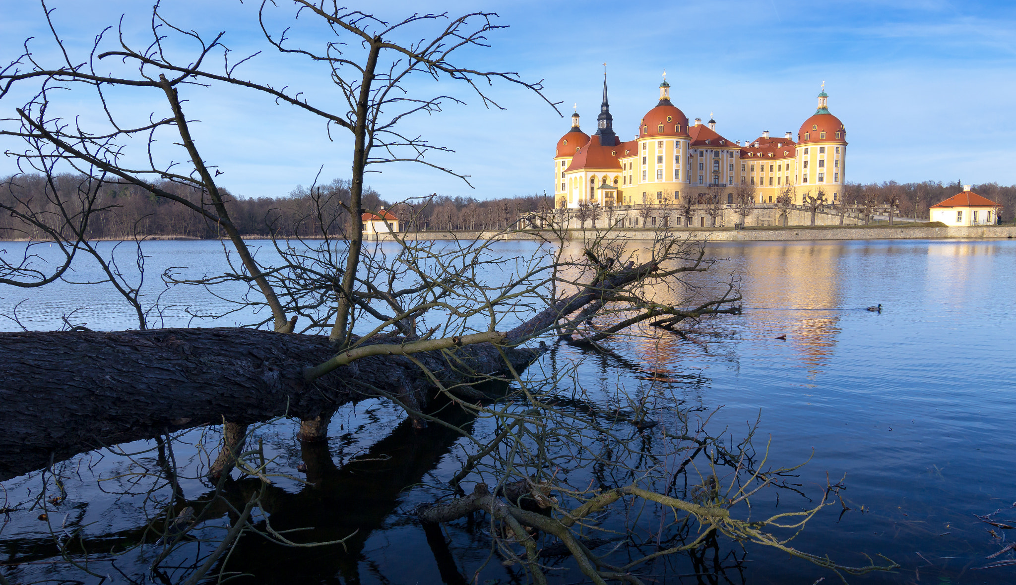 Canon EOS 100D (EOS Rebel SL1 / EOS Kiss X7) sample photo. Schloss moritzburg photography