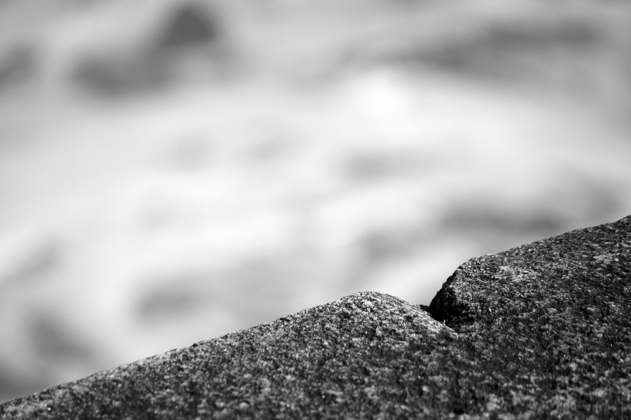 Canon EF-S 55-250mm F4-5.6 IS sample photo. ...mesmerized... photography
