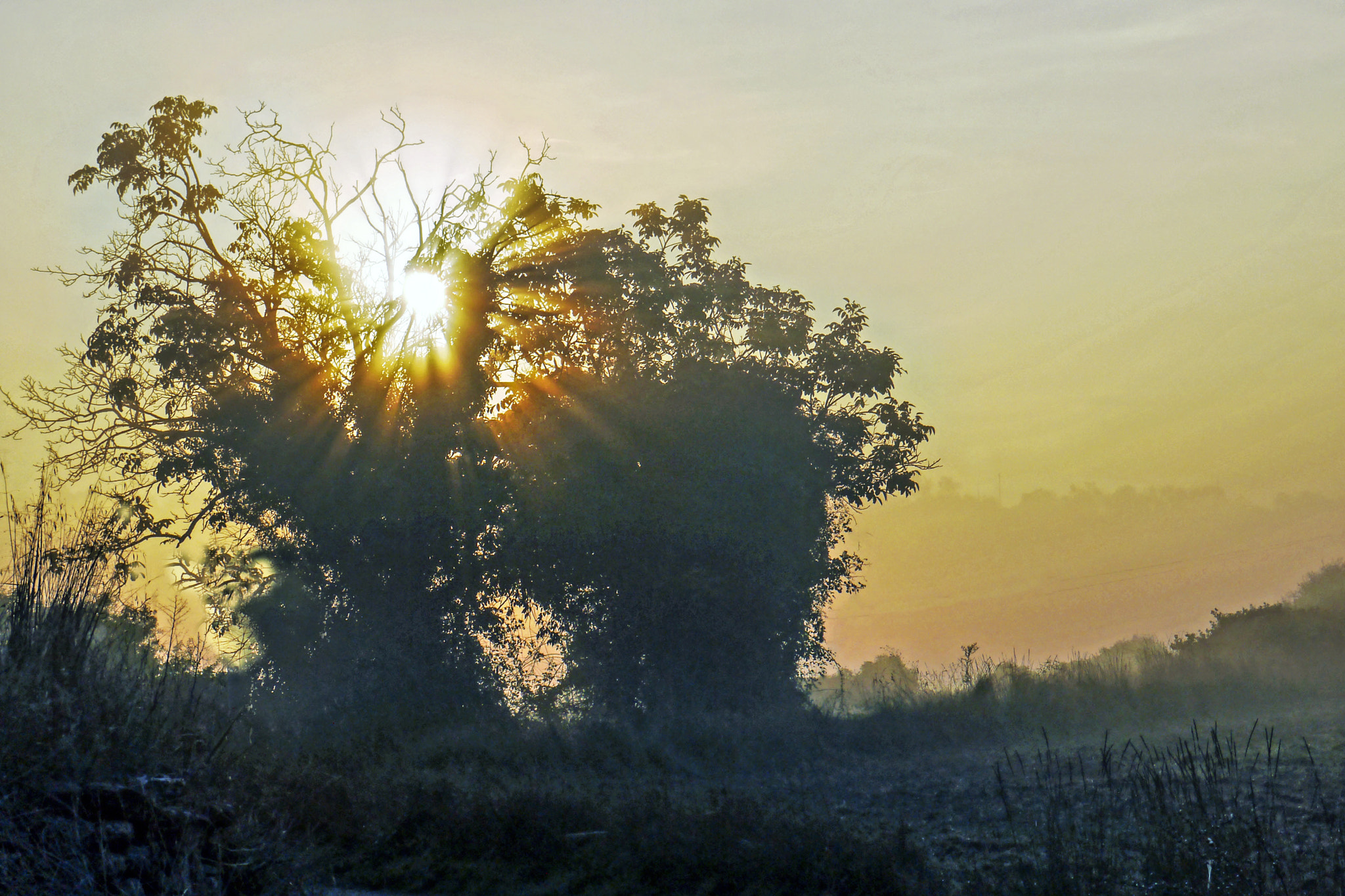 Panasonic Lumix DMC-G3 sample photo. Sunrise photography