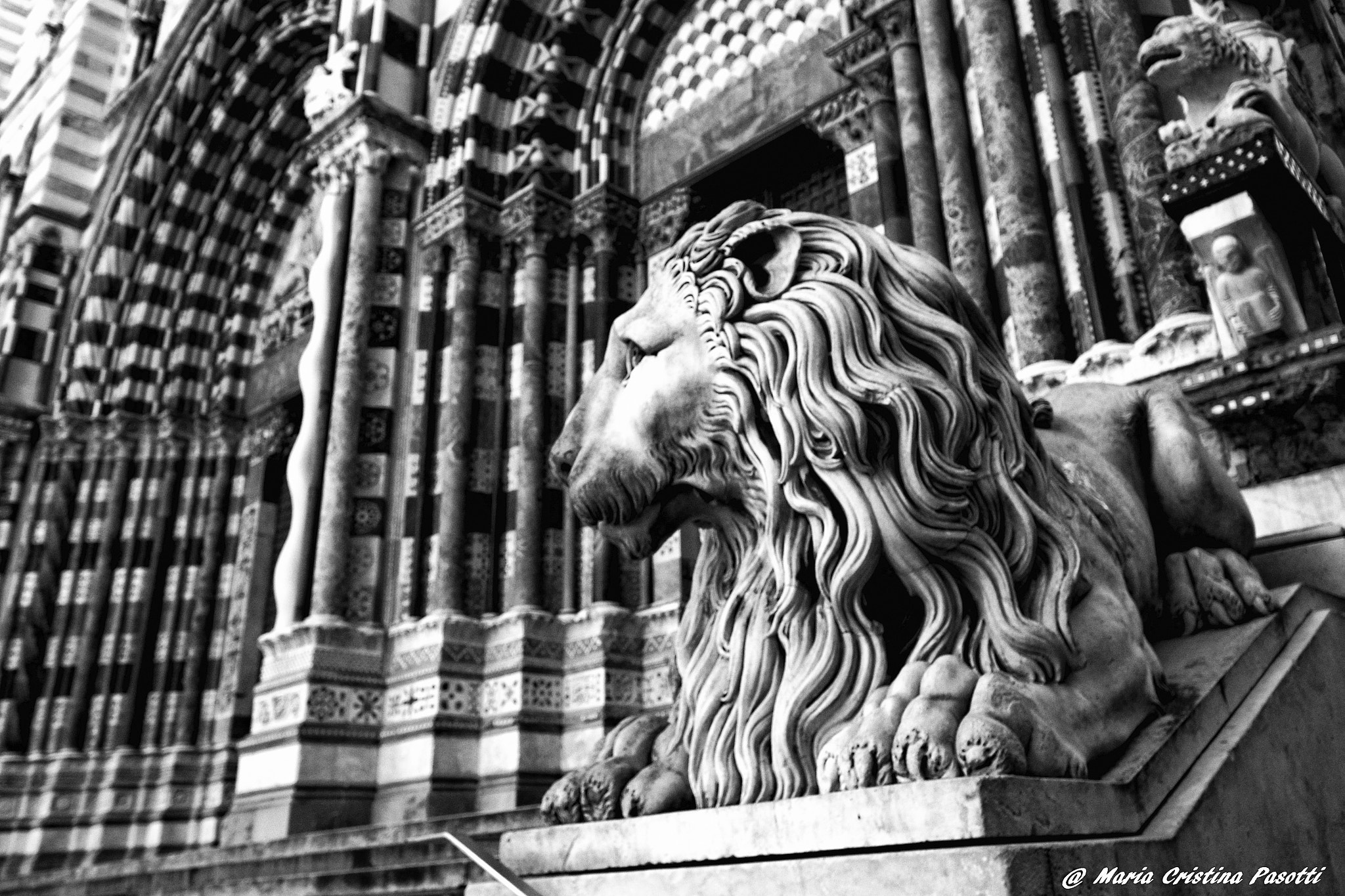 Sigma 10-20mm F3.5 EX DC HSM sample photo. Genoa, italy - san lorenzo cathedral photography