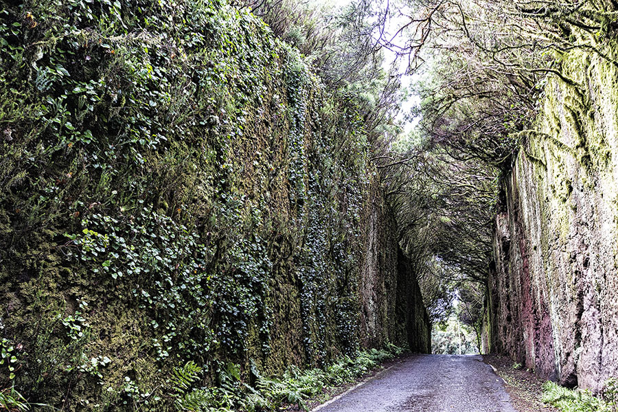 Canon EOS 7D + Sigma 10-20mm F4-5.6 EX DC HSM sample photo. El túnel photography