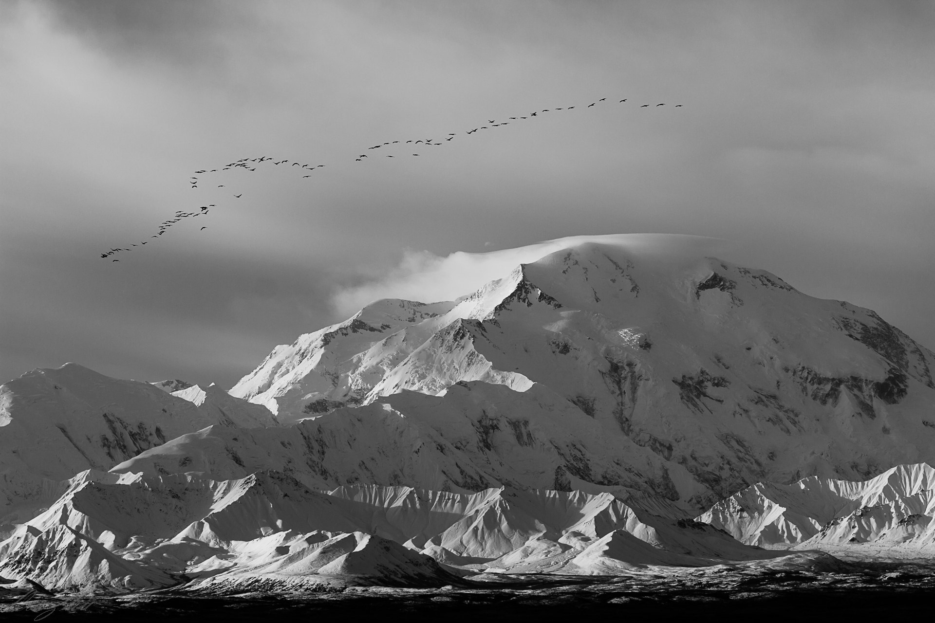 Sigma 70-200mm F2.8 EX DG OS HSM sample photo. Sandhill crane migration photography
