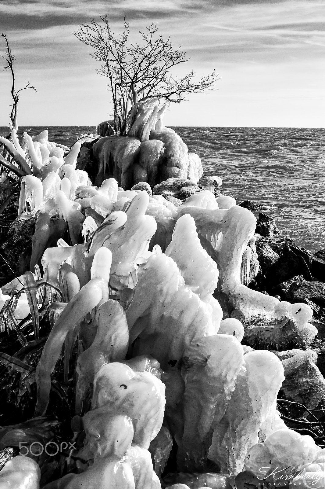 Canon EOS 7D + Sigma 24-70mm F2.8 EX DG Macro sample photo. Frozen at point pelee photography