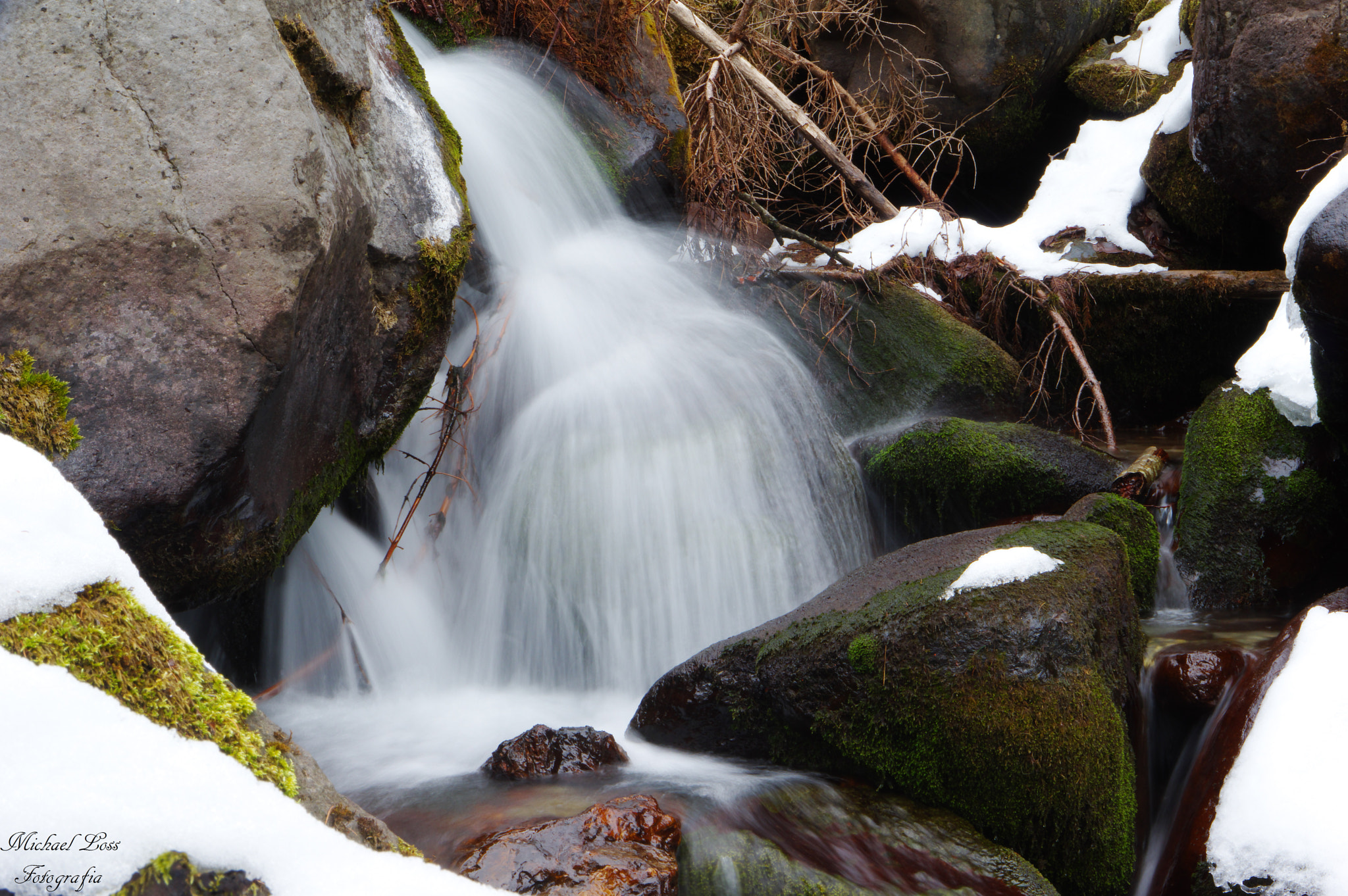Pentax K-3 II sample photo. Untitled photography