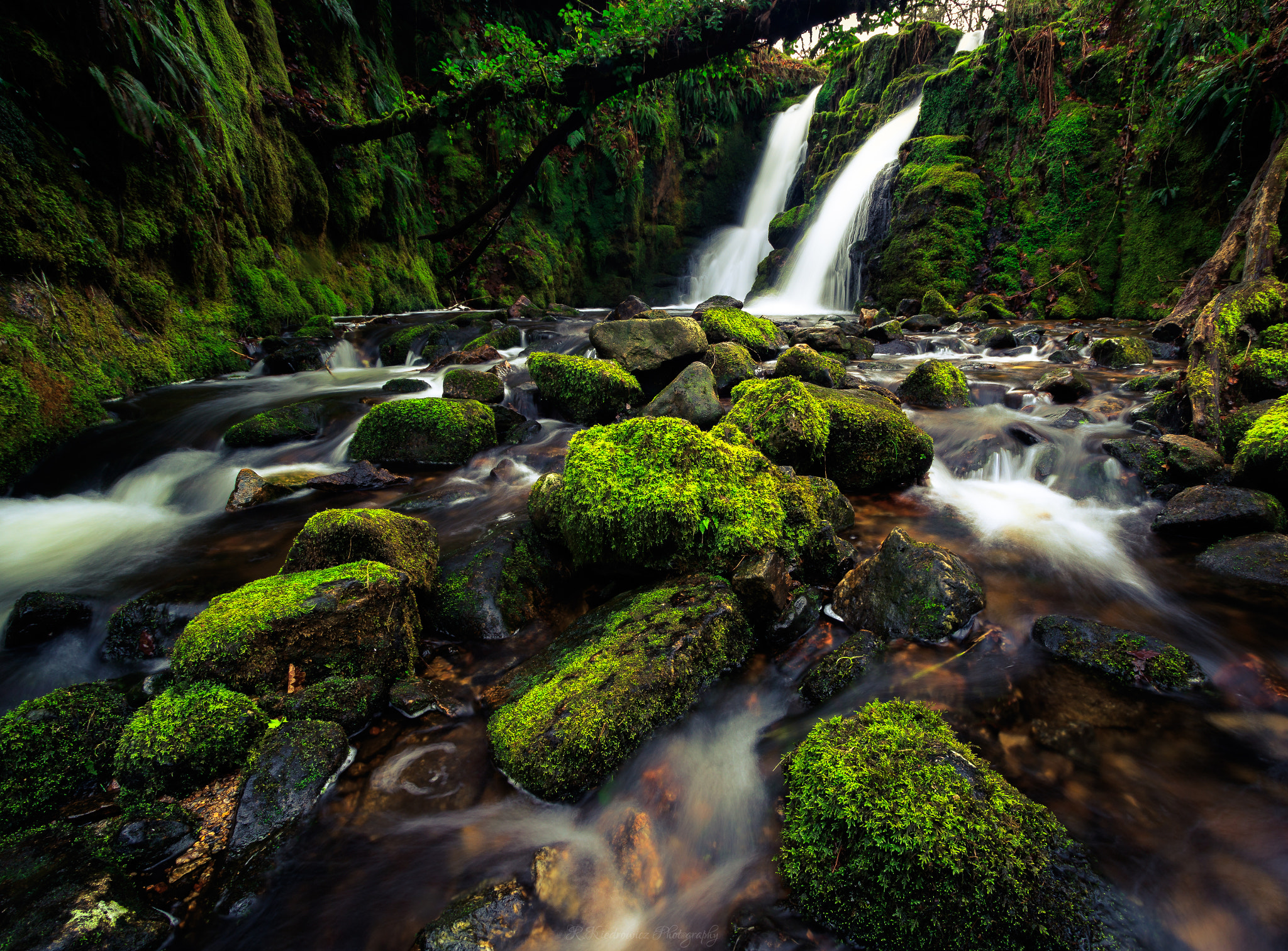 Canon EF-S 10-22mm F3.5-4.5 USM sample photo. Far, far away in a dark forest...venford falls photography