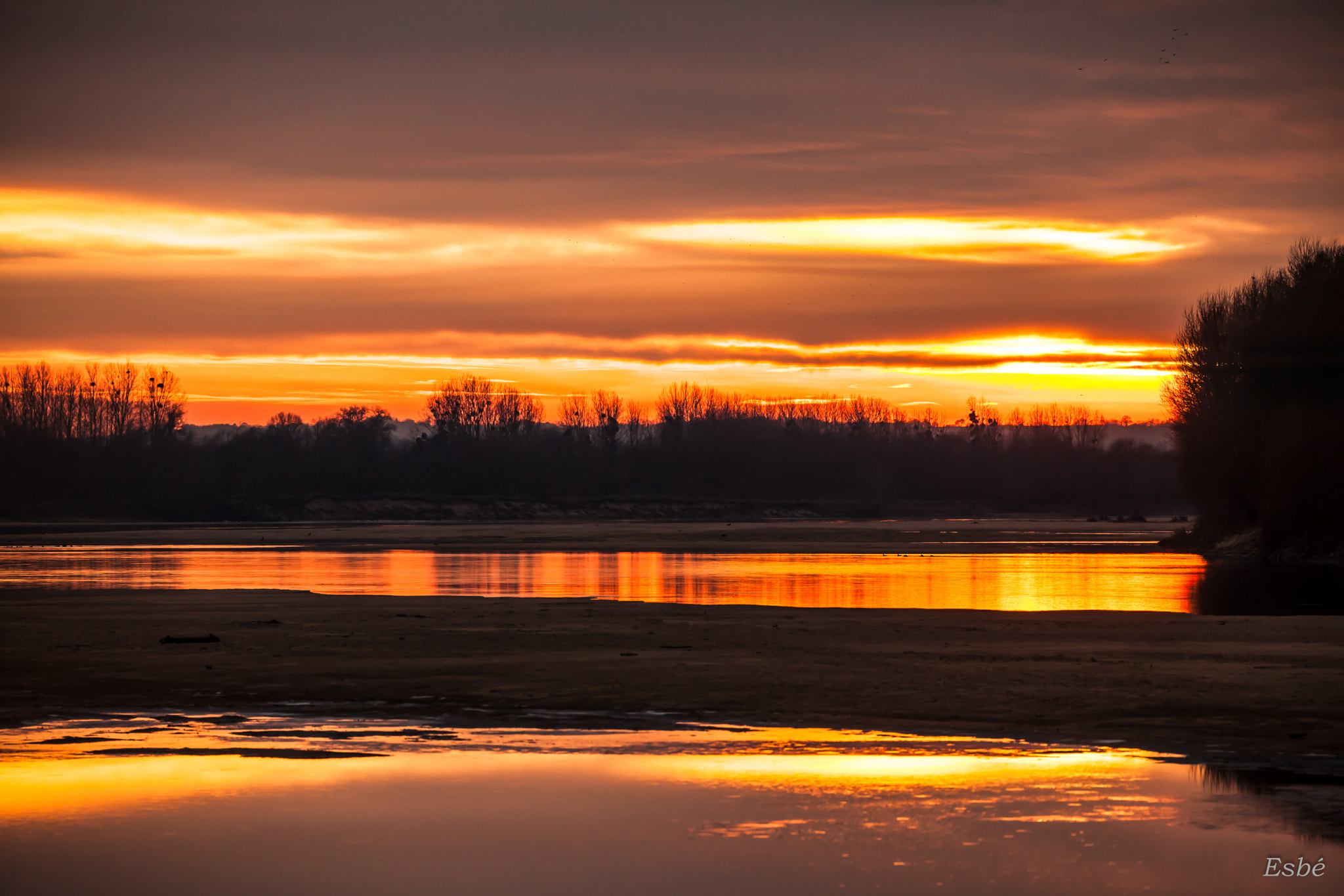 150-600mm F5-6.3 DG OS HSM | Contemporary 015 sample photo. Golden reflections photography