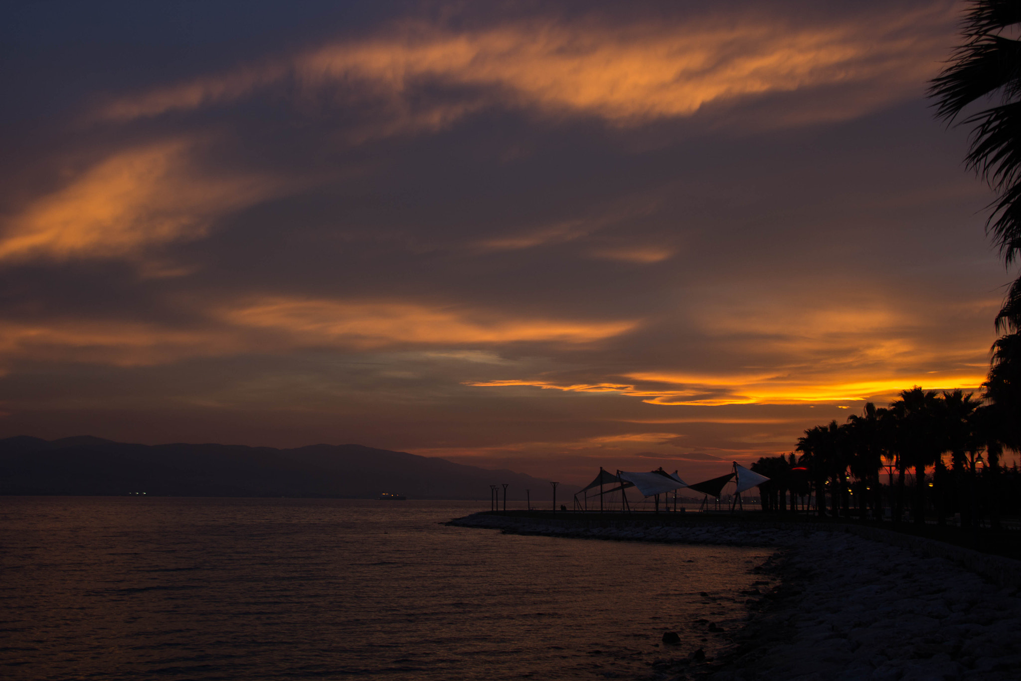 Canon EOS 60D sample photo. Img photography