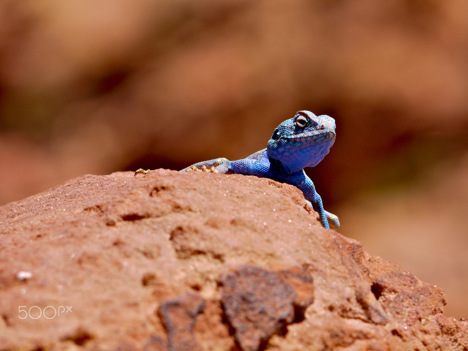 Panasonic Lumix G Vario 45-200mm F4-5.6 OIS sample photo. Jebel harun (aaron), petra /wadi musa, jordan. photography