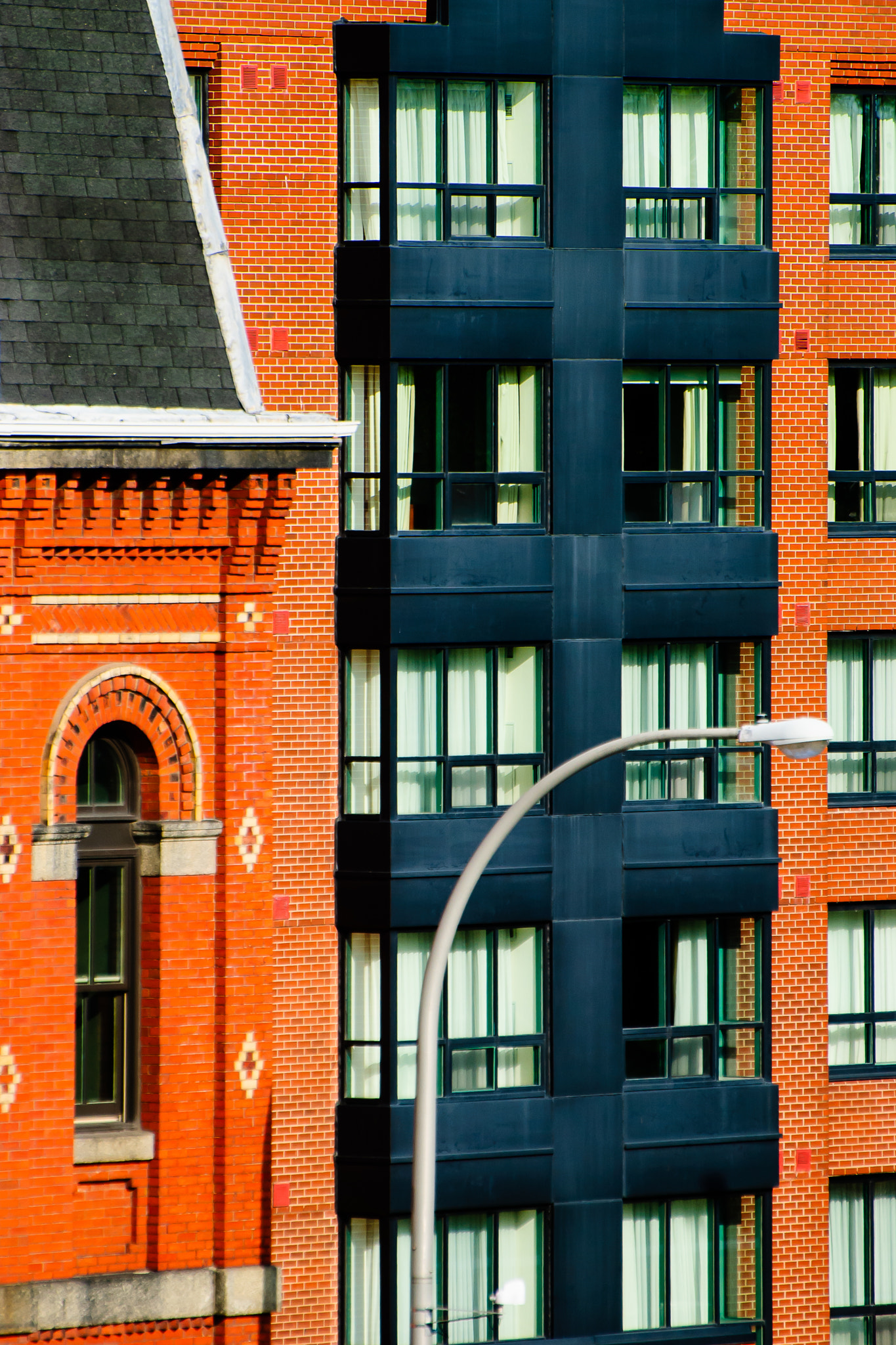 Nikon D80 sample photo. Orange is the new black photography