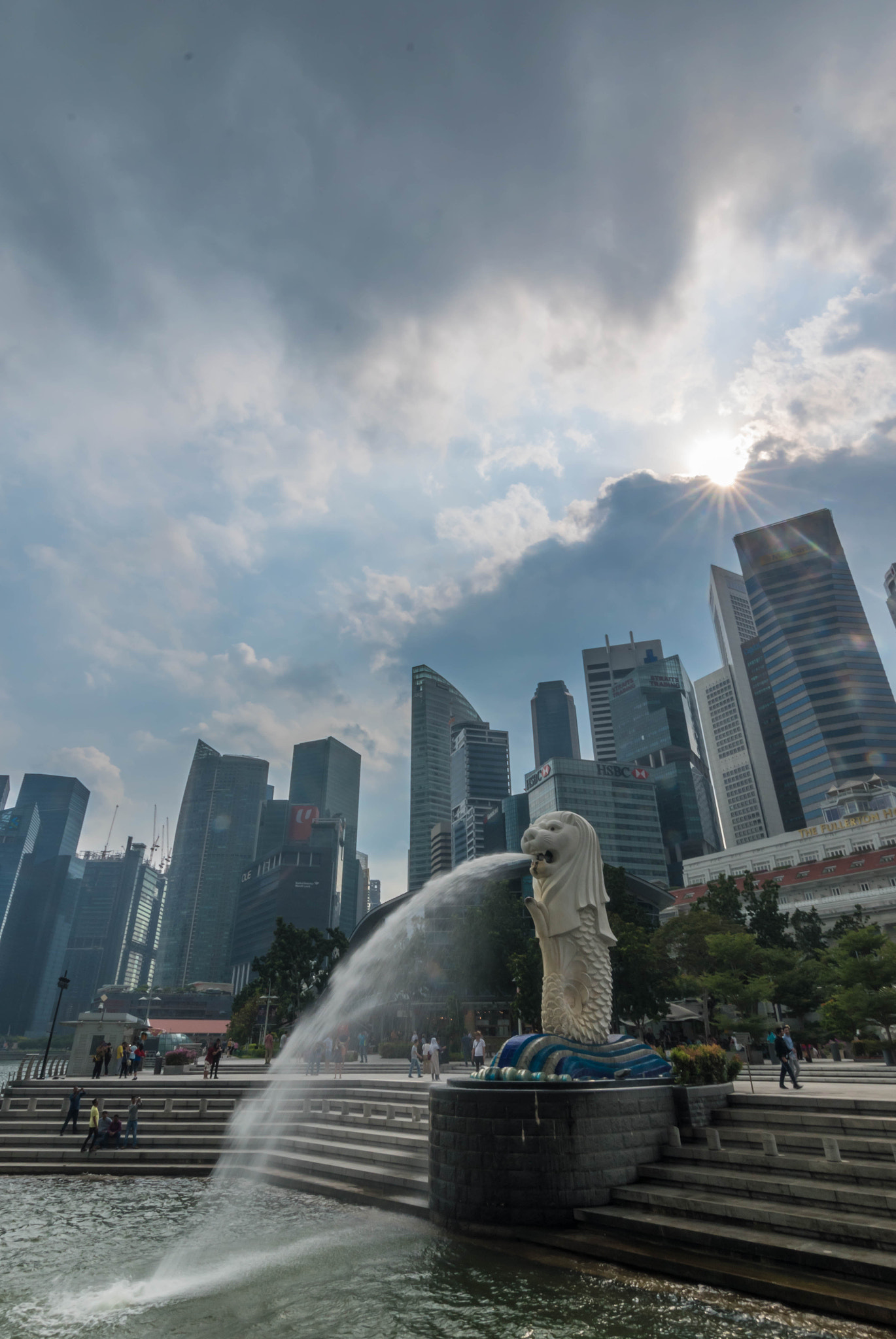 Nikon D5500 sample photo. Lion city photography