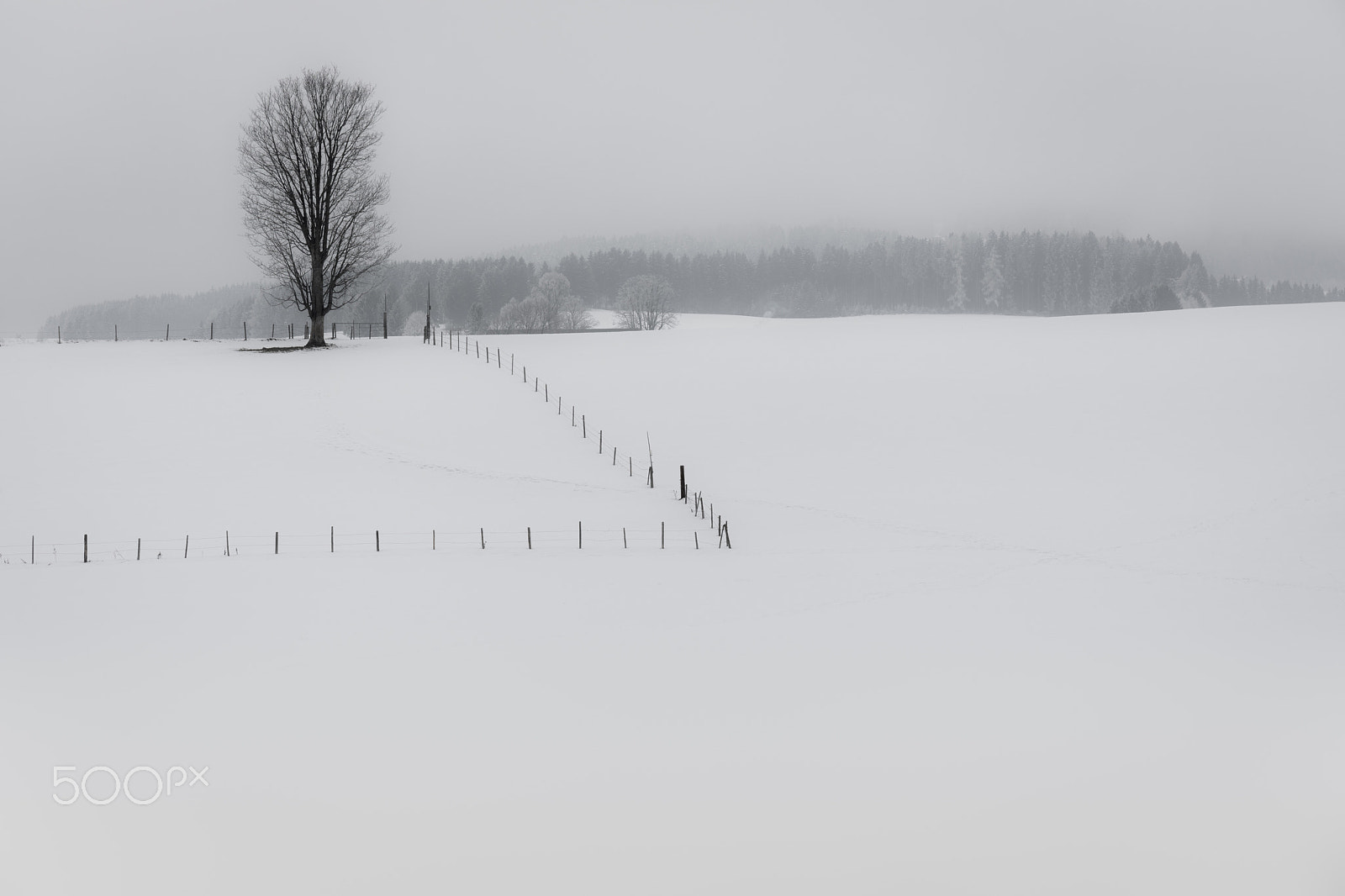 Canon EOS 5D Mark IV sample photo. Winter mood photography