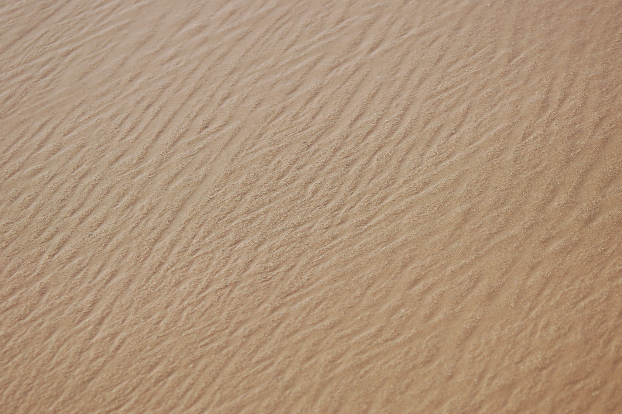 Sigma 28-90mm F3.5-5.6 Macro sample photo