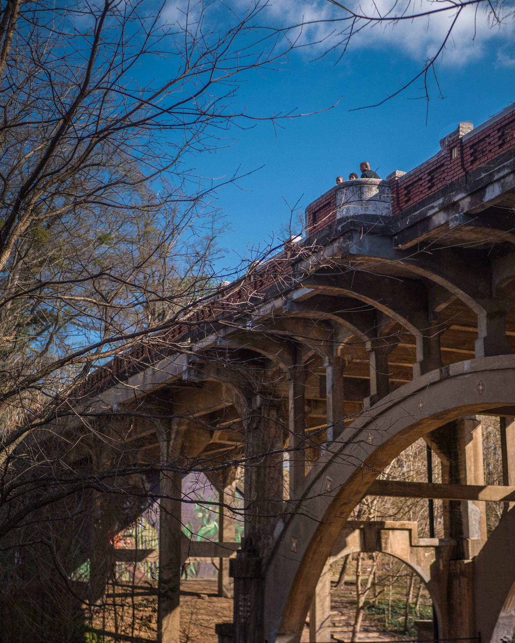 Panasonic Lumix DMC-GX8 + LUMIX G 25/F1.7 sample photo. Piedmont park photography