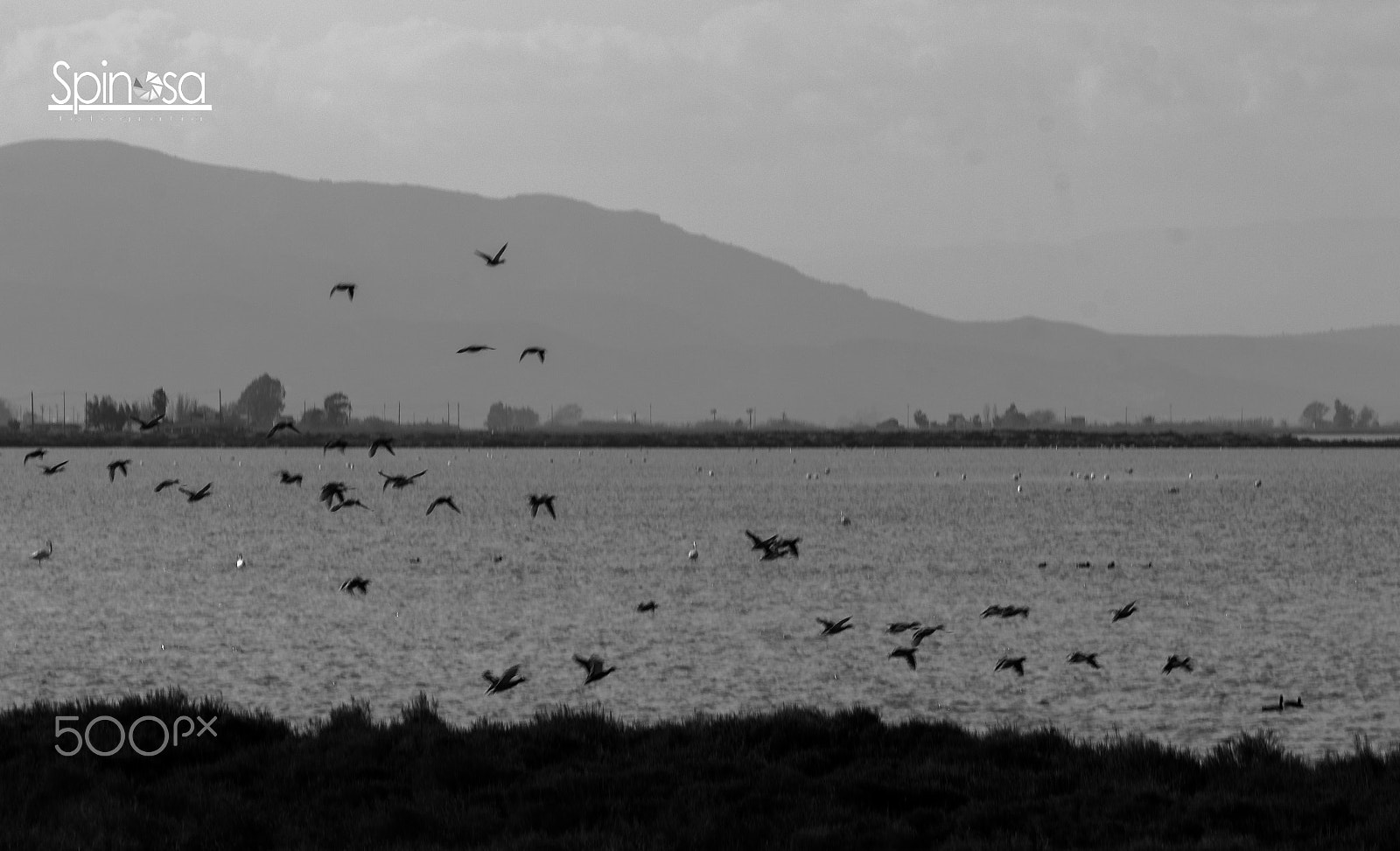 Canon EOS 60D + EF75-300mm f/4-5.6 sample photo. Duotone... photography