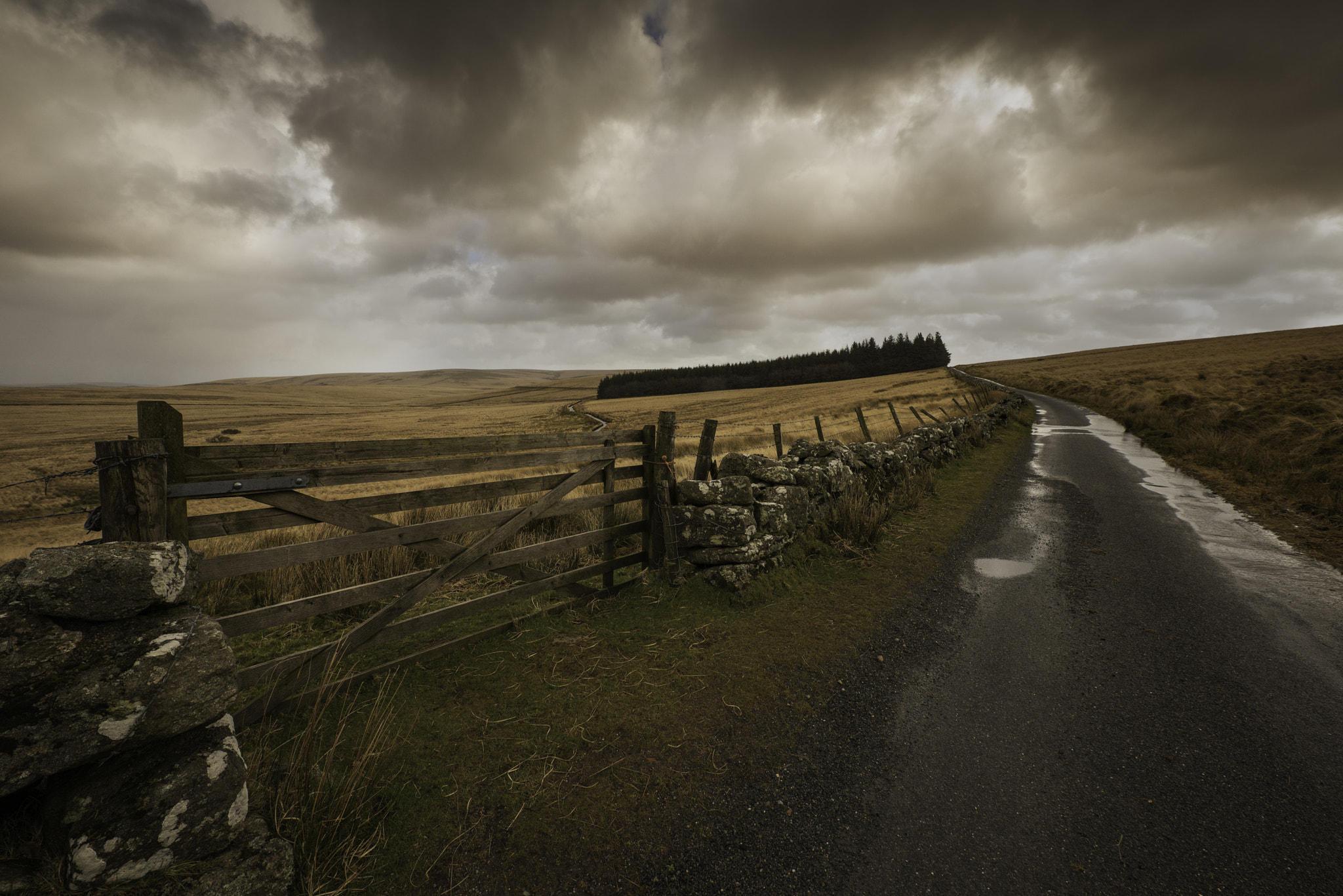 Nikon AF-S Nikkor 14-24mm F2.8G ED sample photo. On the road to whiteworks. photography