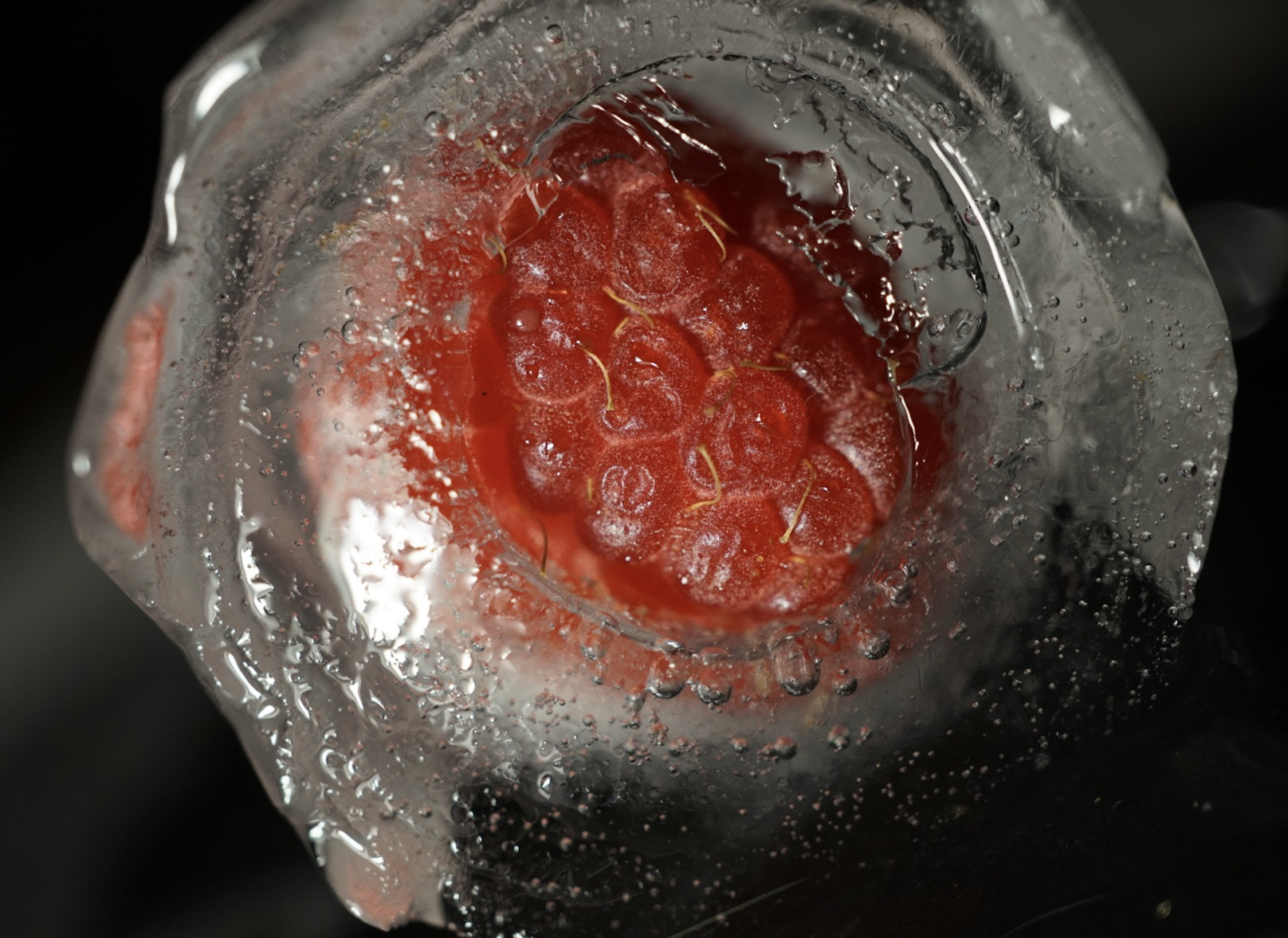 Sony Alpha QX1 + Sony E 30mm F3.5 Macro sample photo. Raspberry on the rocks! photography