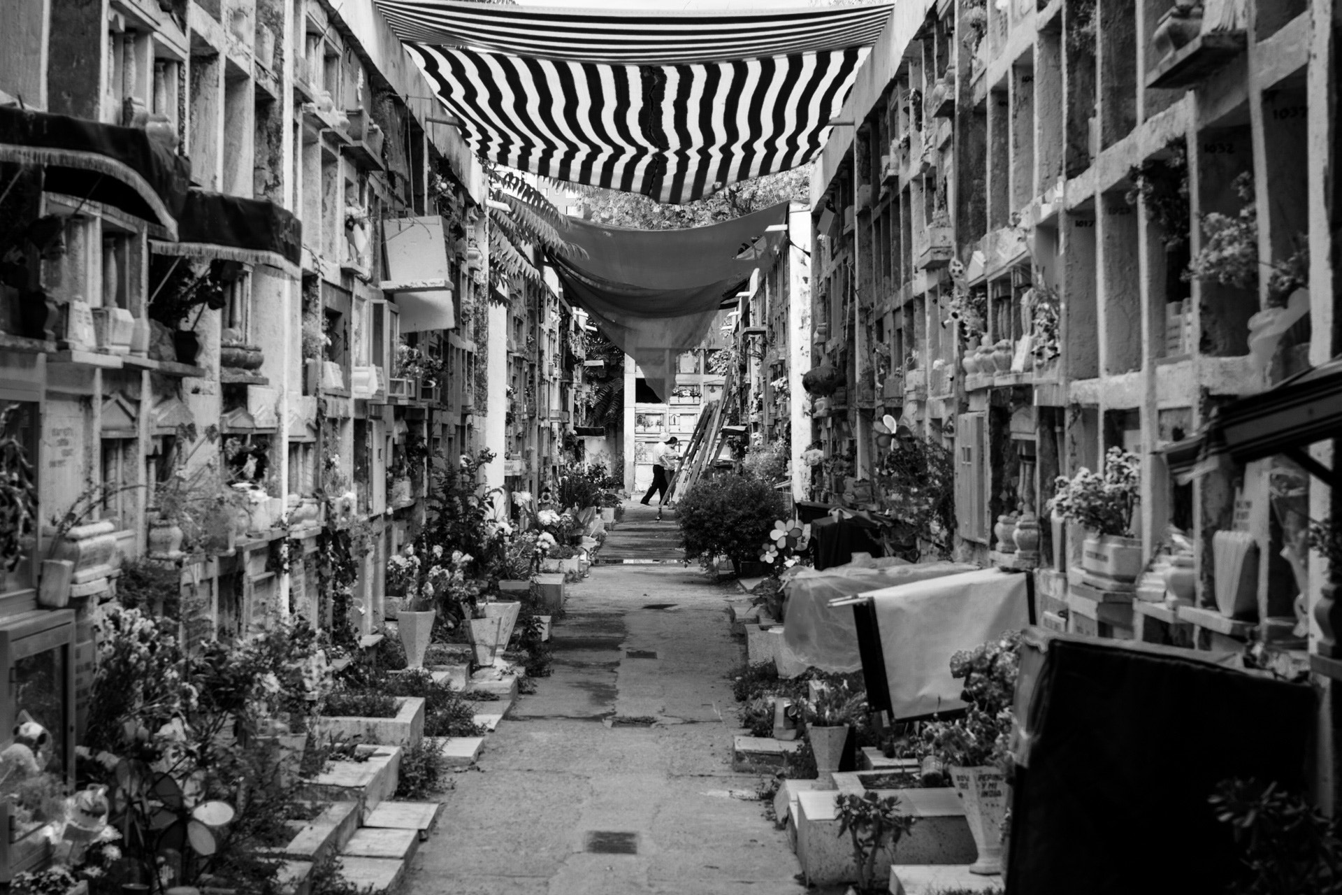 Sigma 50mm F1.4 EX DG HSM sample photo. Walking black photography