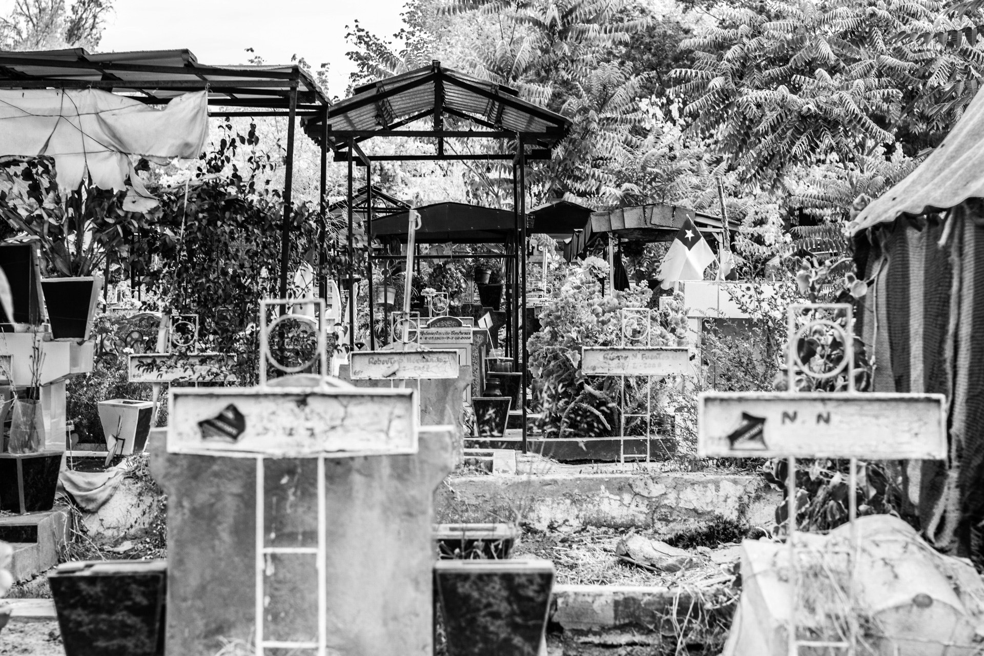 Sigma 50mm F1.4 EX DG HSM sample photo. Walking black photography