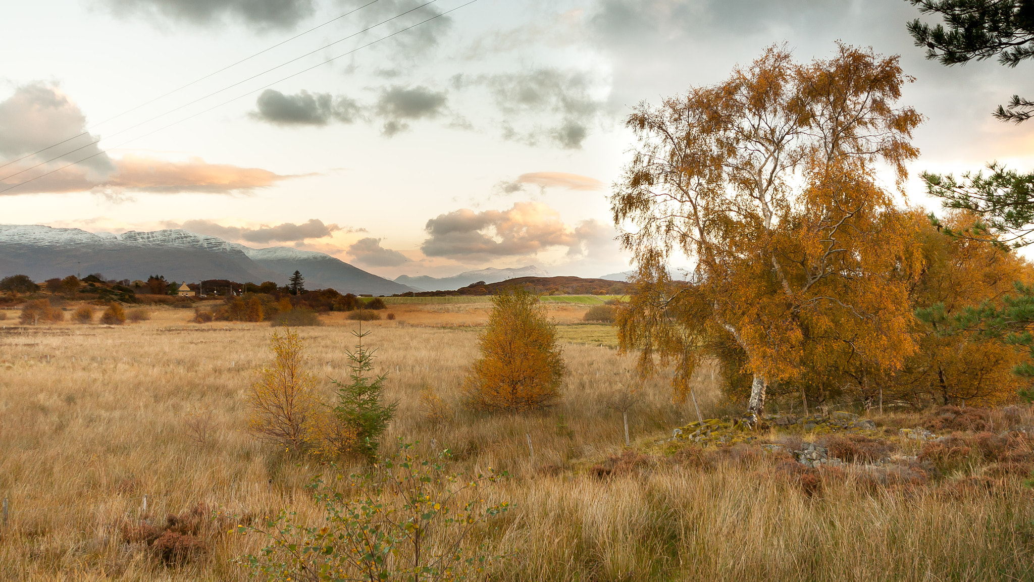 Canon EOS 50D sample photo. Drumbuie, lochalsh photography